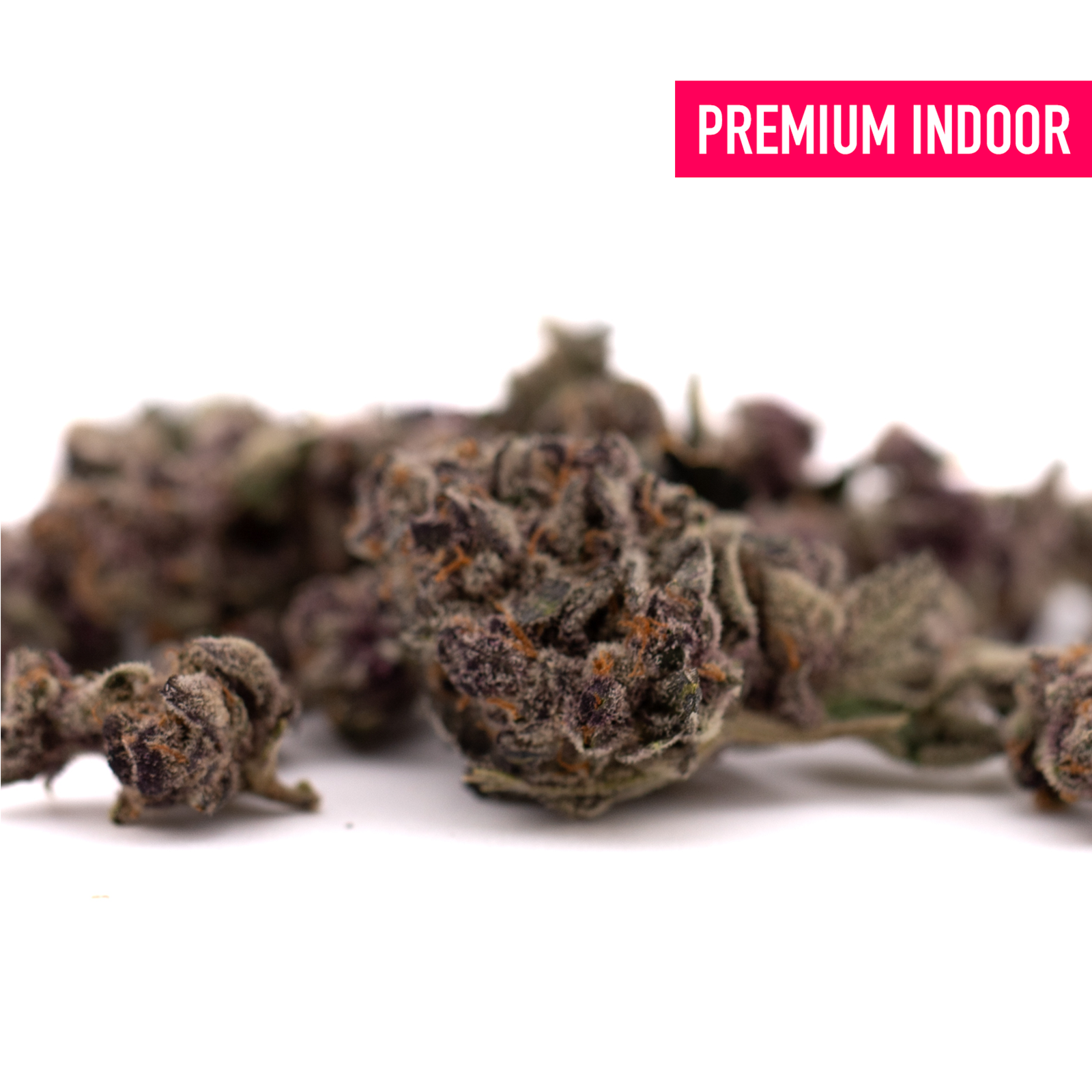 Premium Candy Mac indoor THCA flower buds with Orchard Swirl Synergy for quality cannabis enthusiasts