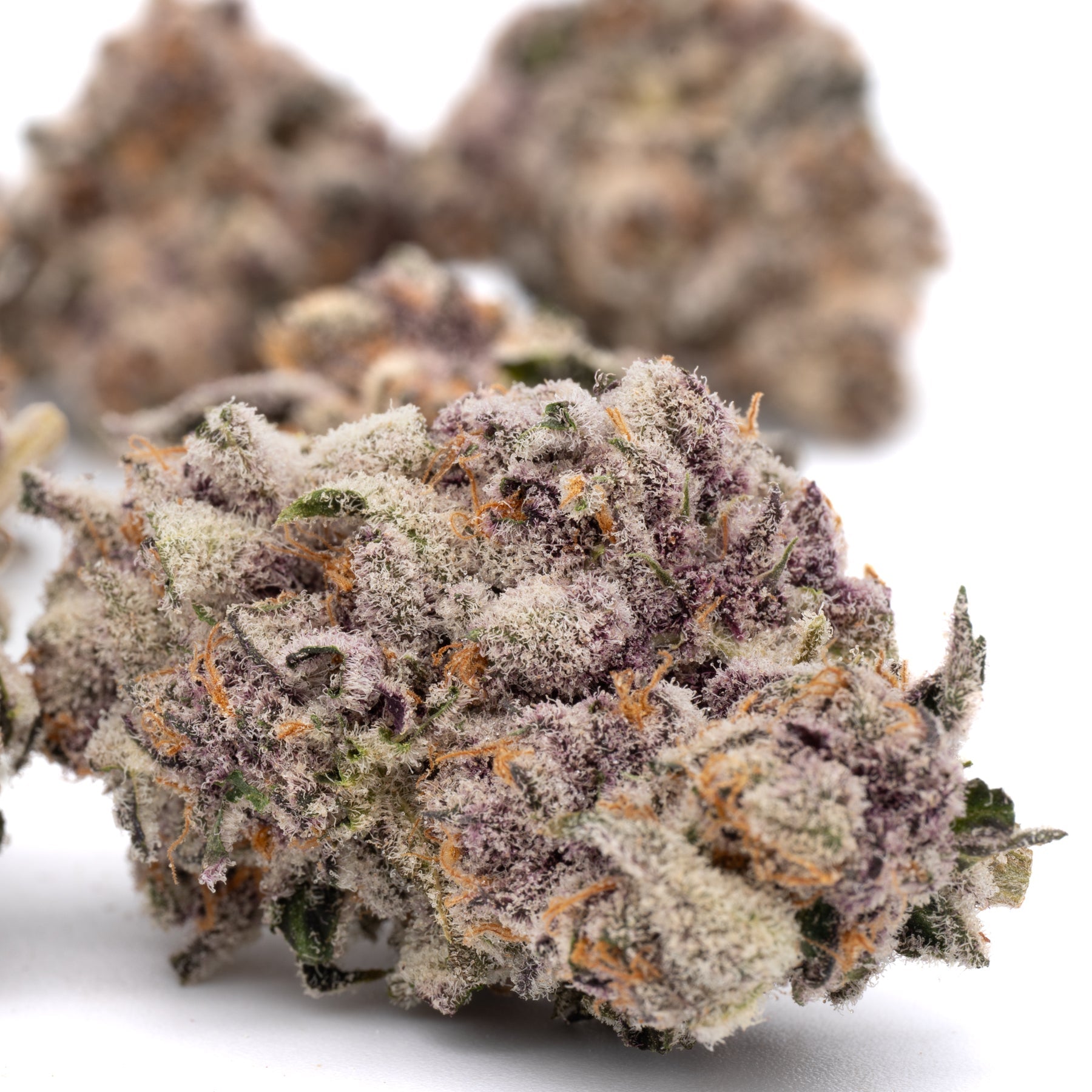 Candy Mac Indoor THCa Flower - Plants