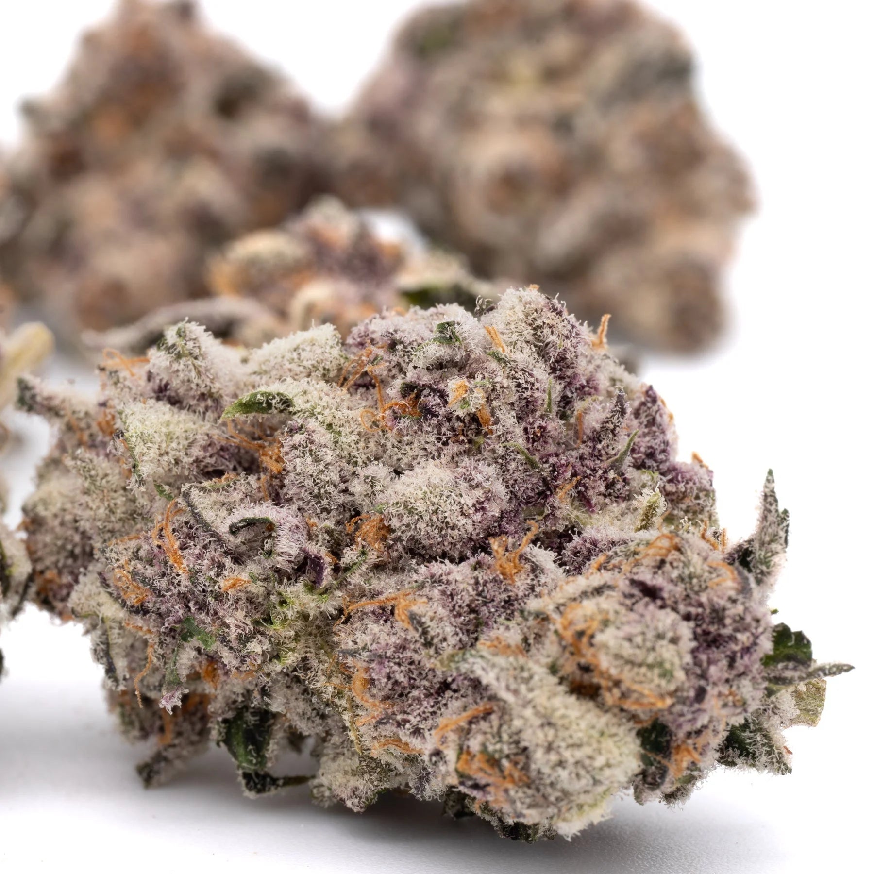 Candy Mac Indoor THCa Flower - Plants