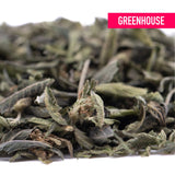 Dried sage leaves with dusty green hue and curled edges in a pile for candy pave’s greenhouse thca trim wholesale