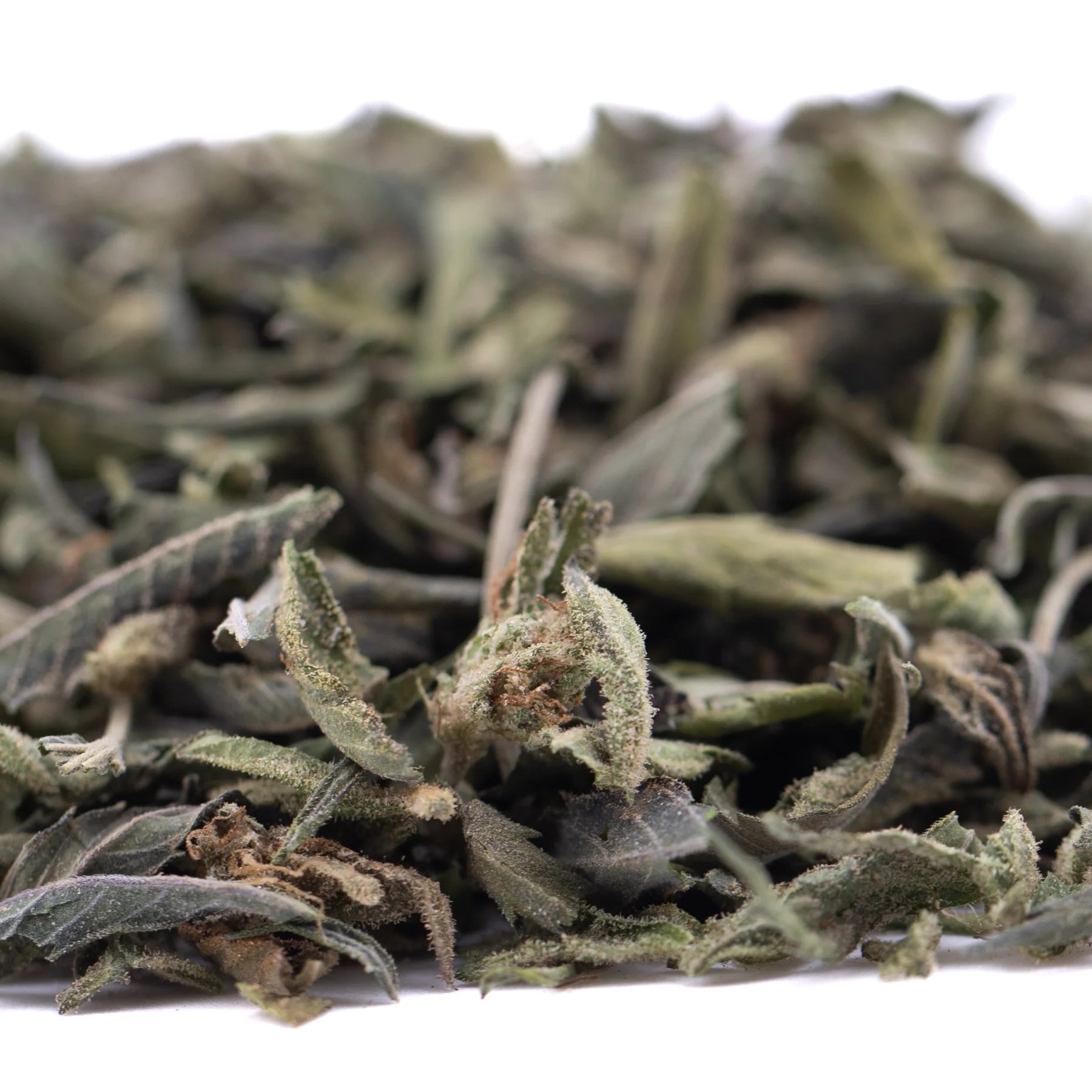 Dried sage leaves with silvery green hue and fuzzy texture for candy pave greenhouse thca trim wholesale product