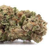 Candy Pave THCa hemp flower bud with green hues and trichomes