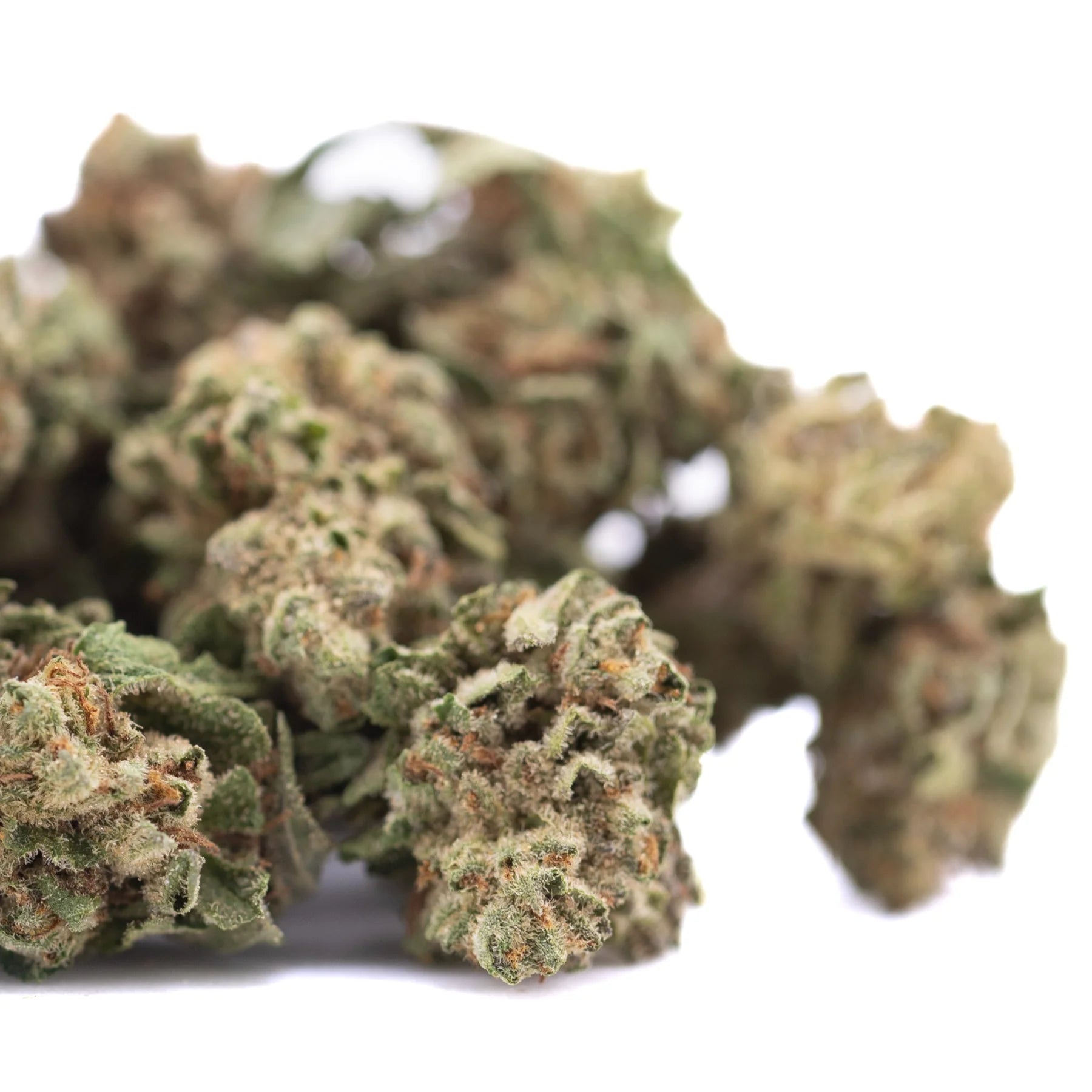 A cluster of candy pave’s greenhouse smalls hemp flower buds with dense textured surface in green and brown hues