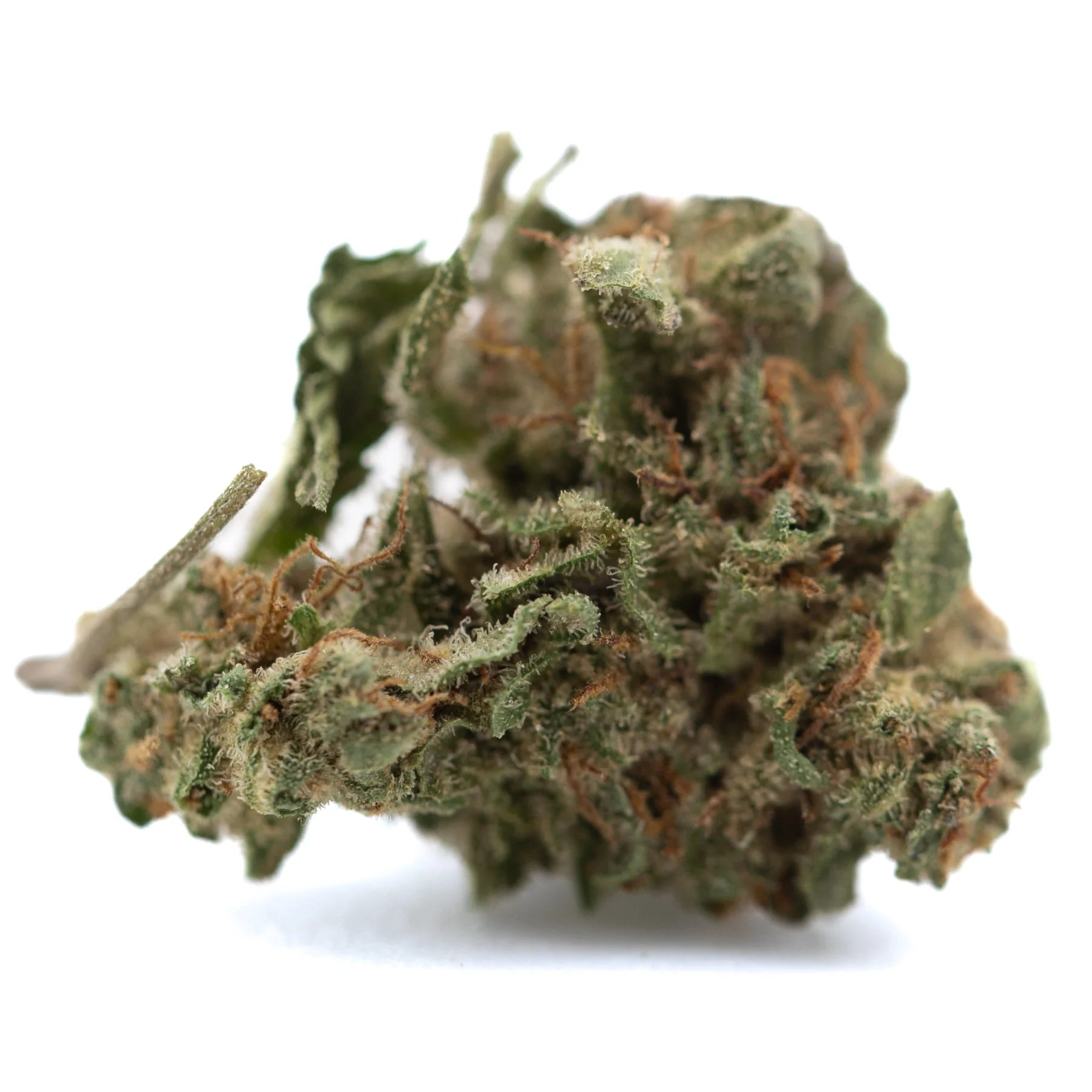 Candy pave’s hemp flower greenhouse smalls dense green bud covered in white trichomes and orange pistils