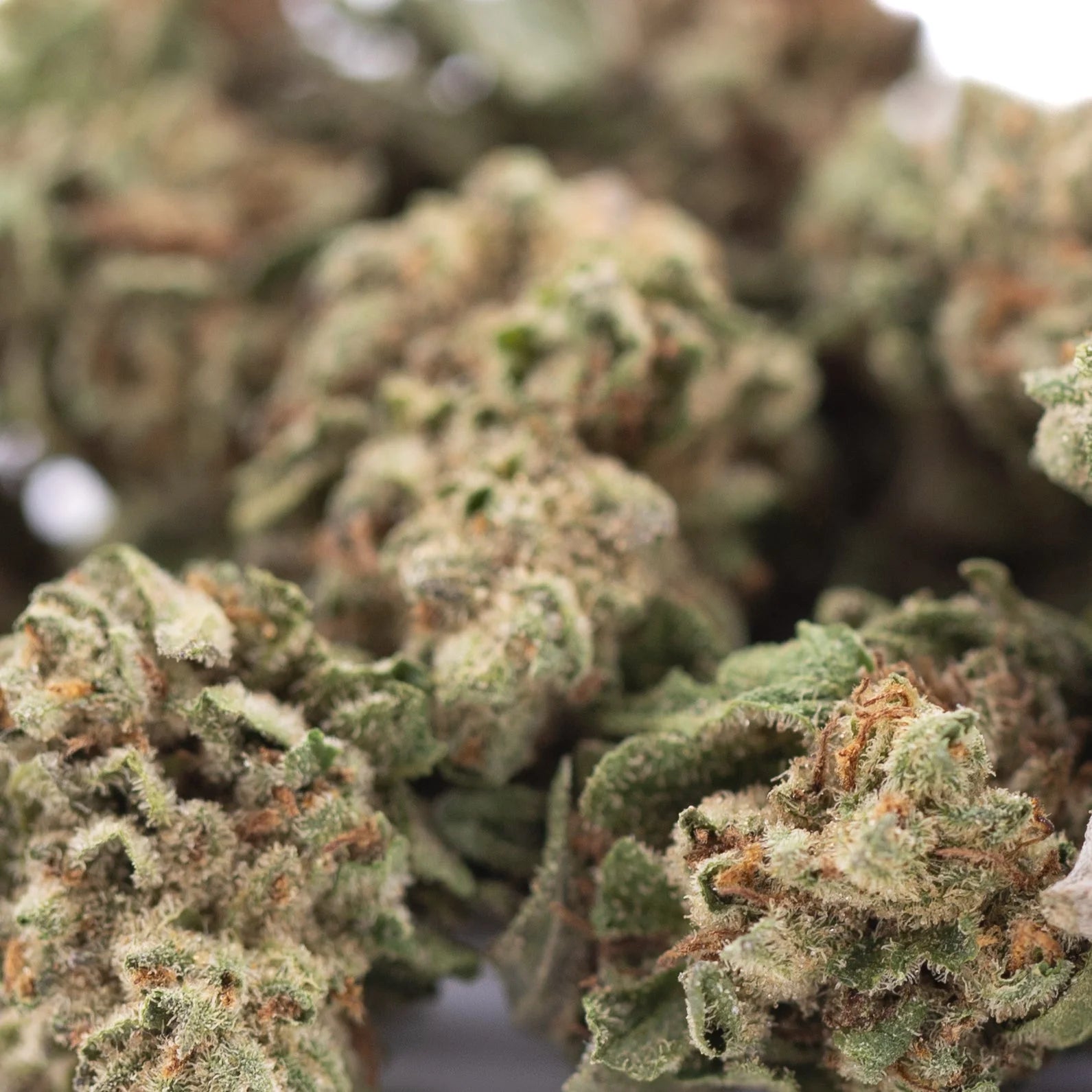 Candy pave hemp flower greenhouse smalls with dense textured buds featuring green and brown hues