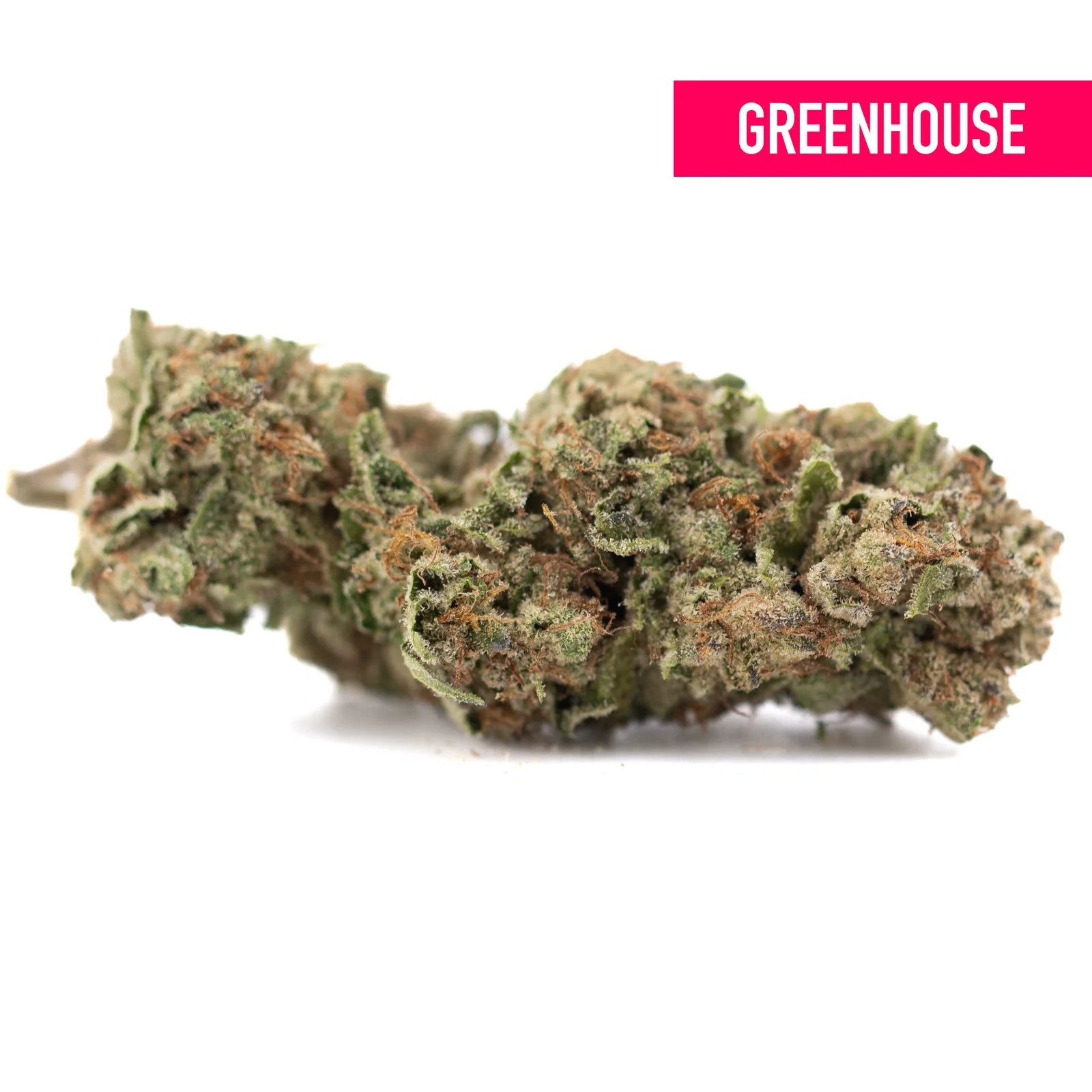 Green cannabis bud with trichomes on Candy Pave hemp flower, Greenhouse brand