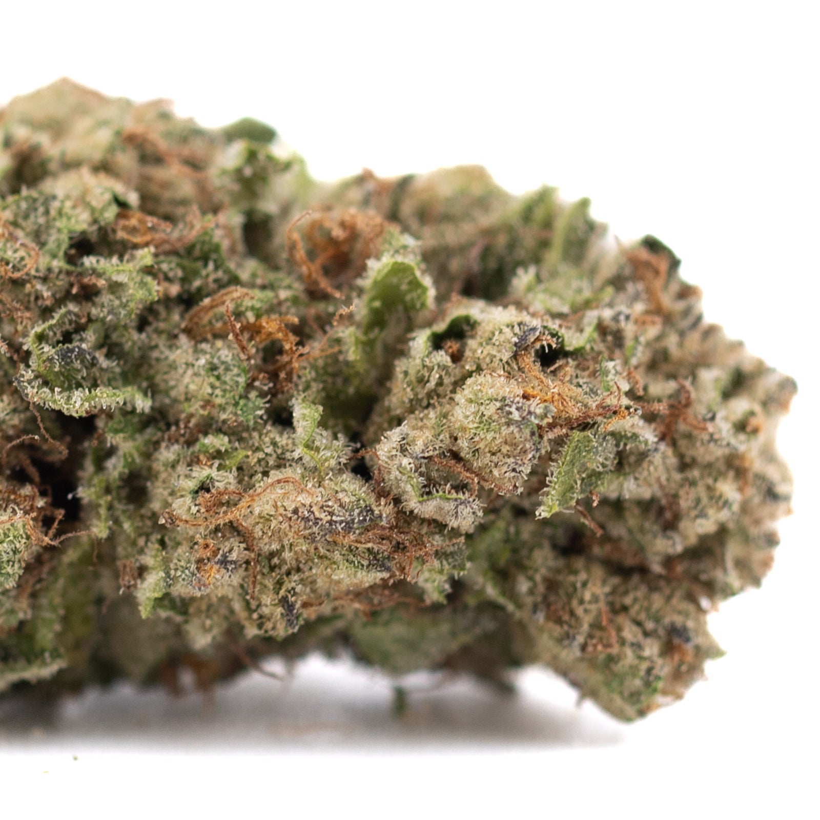 Candy Pave THCa hemp flower bud with green hues and trichomes