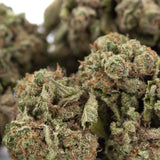 Candy Pave THCa hemp flower bud with green, purple hues and white trichomes