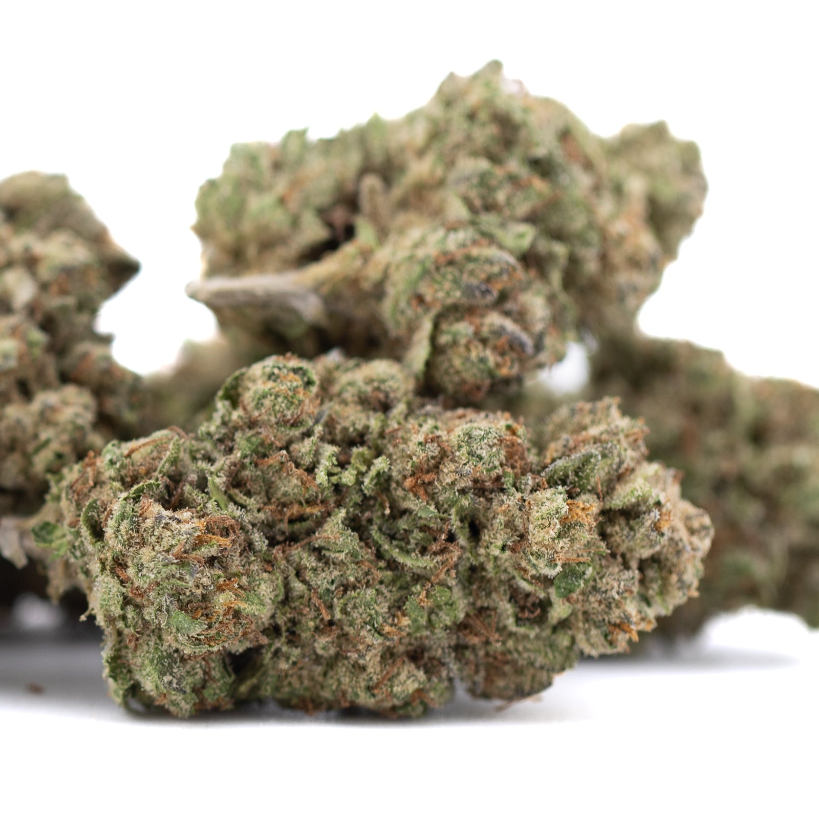 Premium Candy Pave THCa hemp flower bud with white trichomes