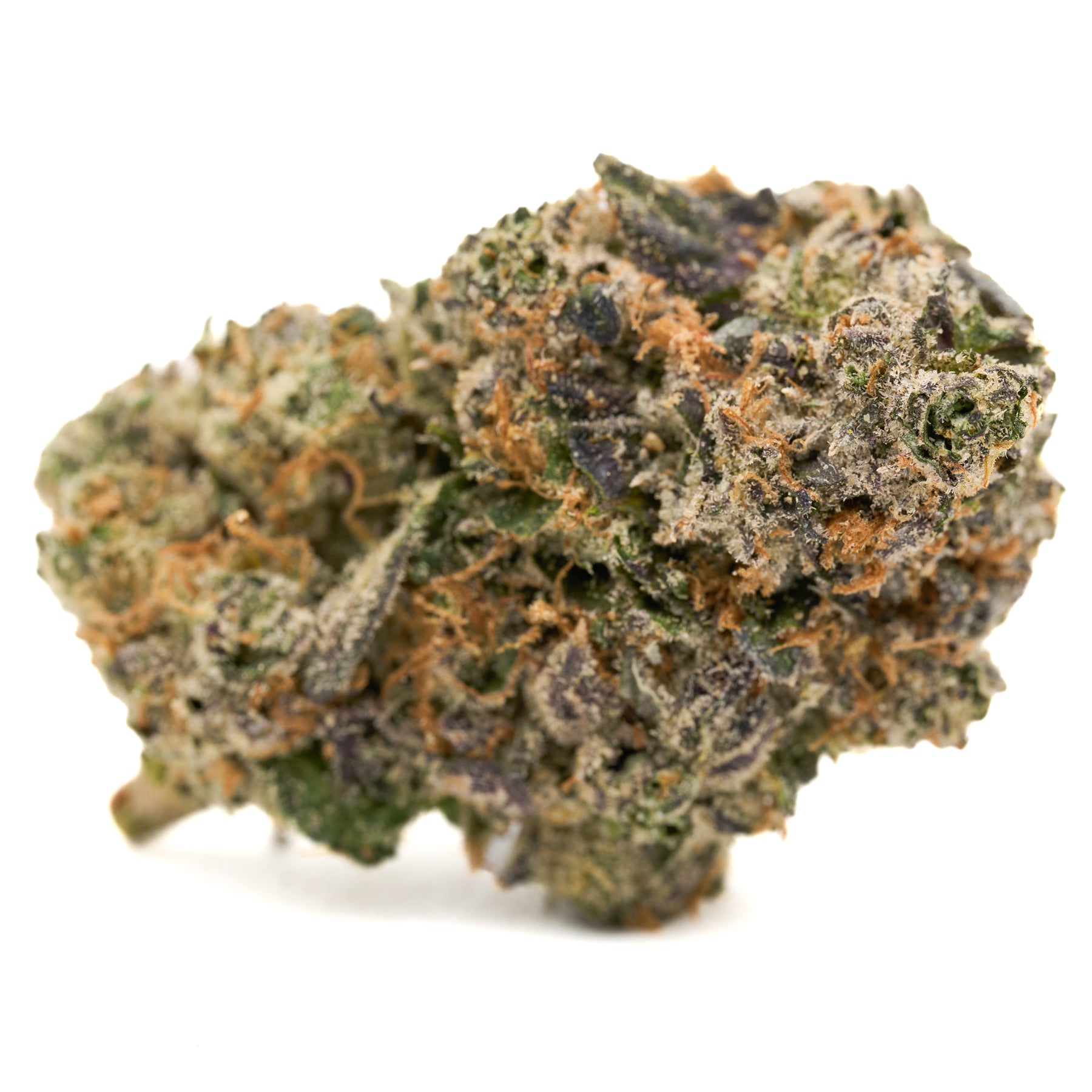 Candy Rain Indoor THCa Flower hemp flower with orange hairs and frosty trichomes