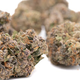 Caramel Candy Kush Indoor THCa Flower - Plants