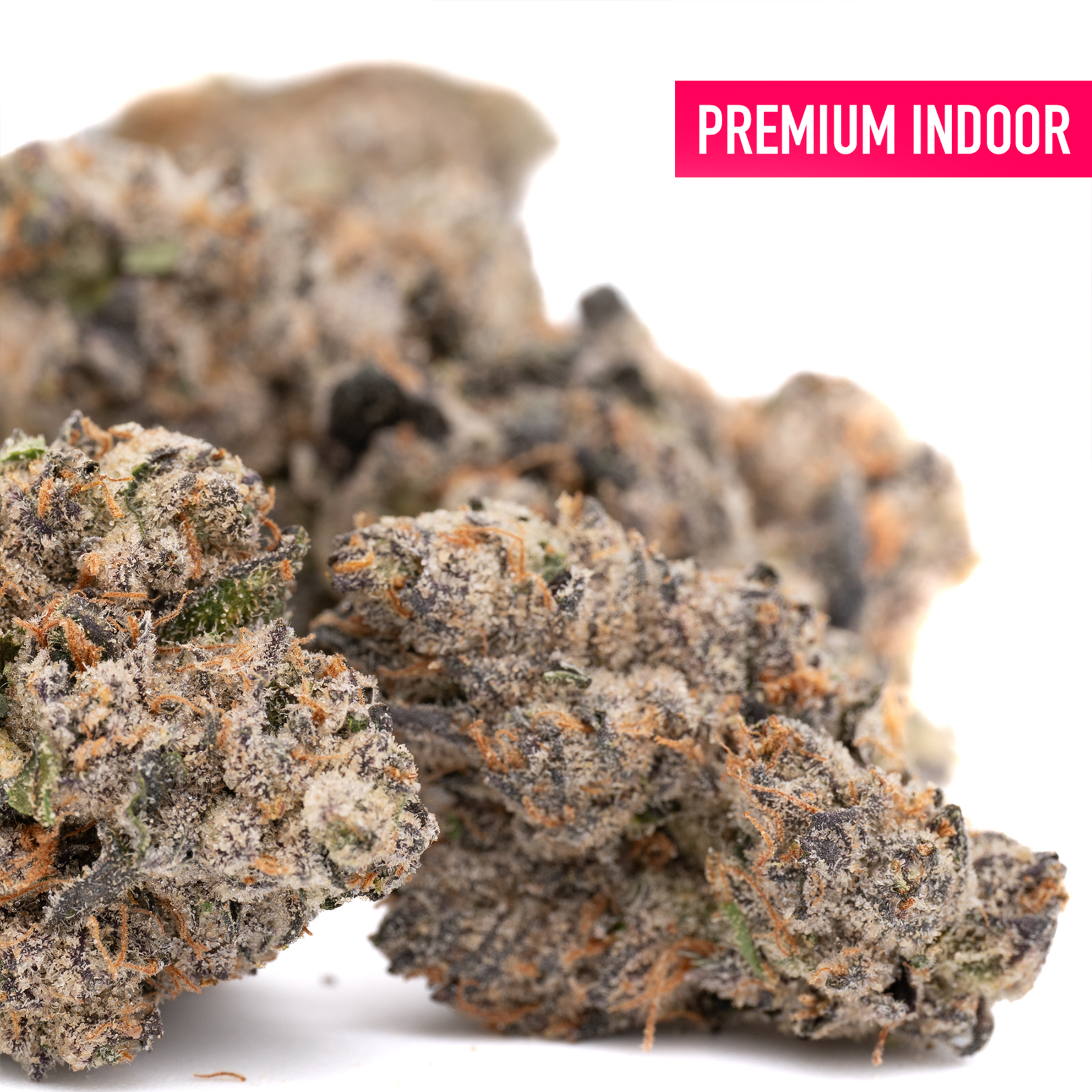 Caramel Candy Kush Indoor THCa Flower Wholesale - Plants