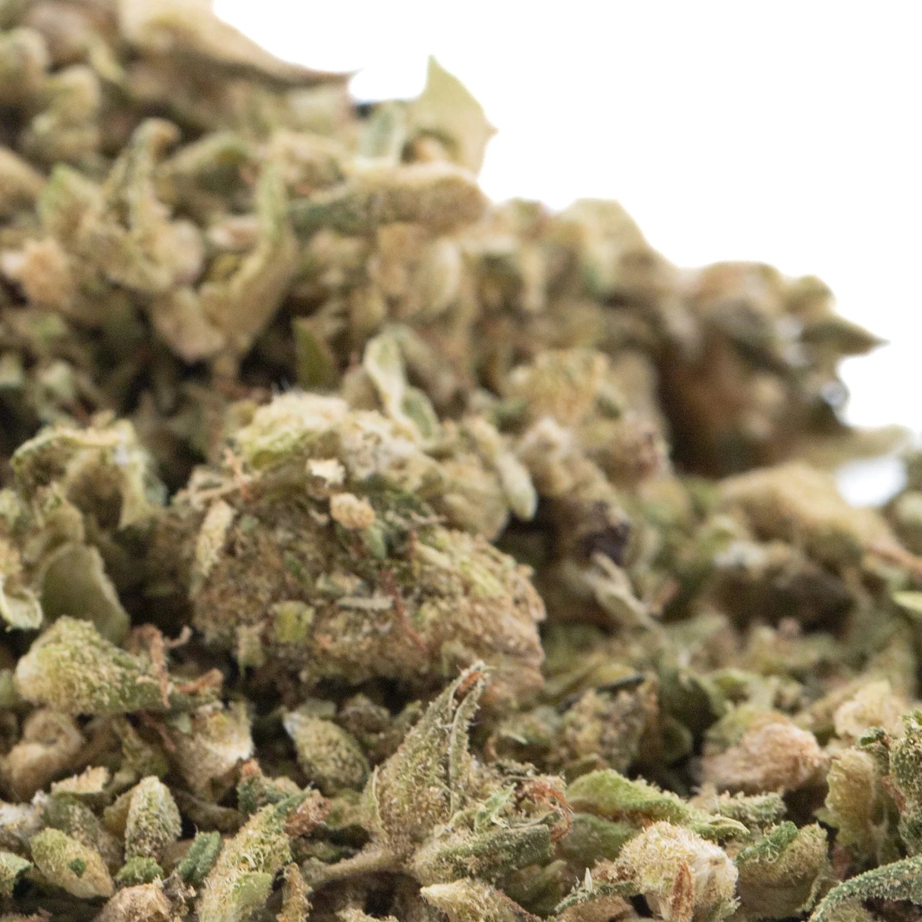 Dense green and beige cbg hemp flower bud coated with frosty white trichomes in cbg hemp flower trim full-term