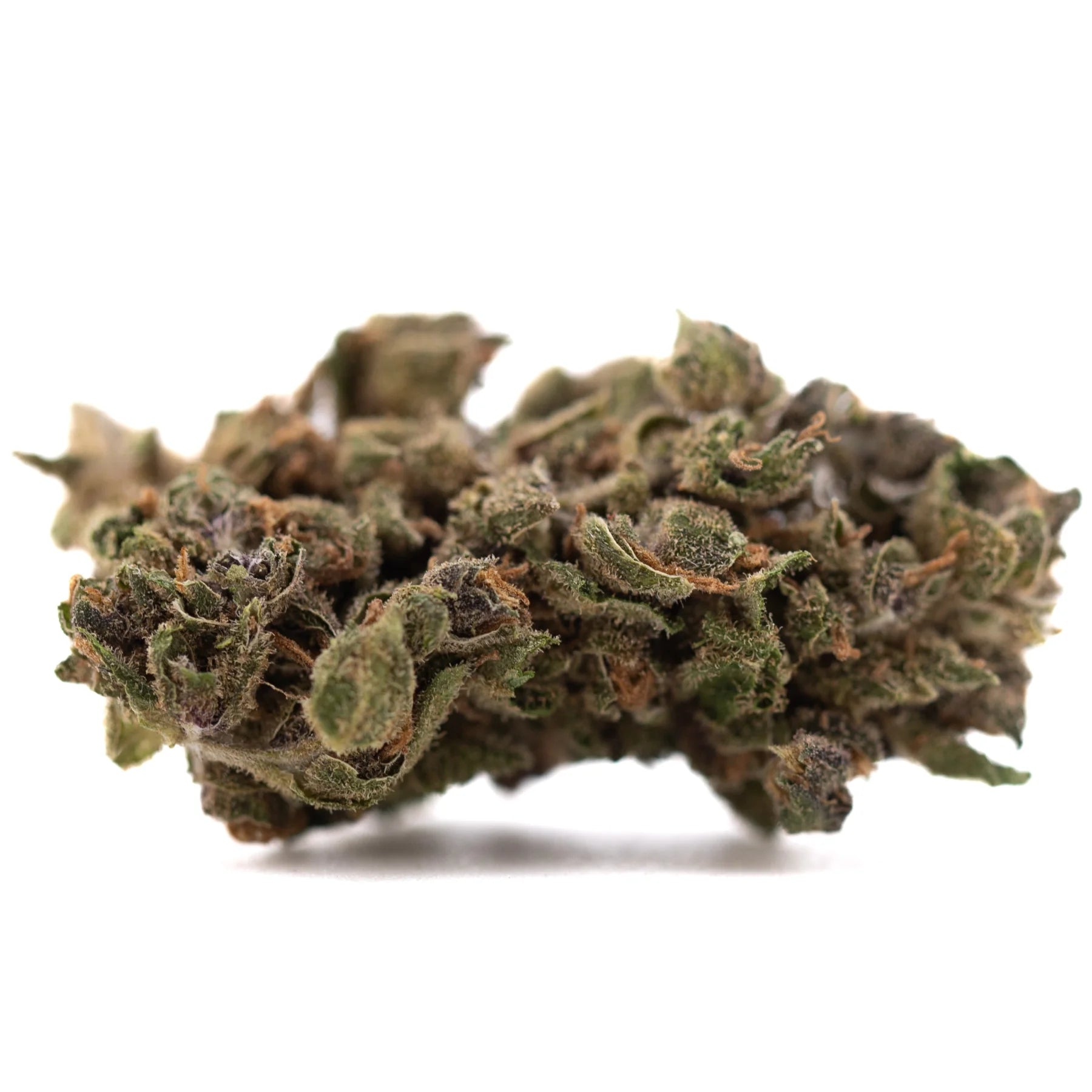 A dense green and brown cbg flower bud covered in trichomes for cbg wholesale and cbg pre rolls use
