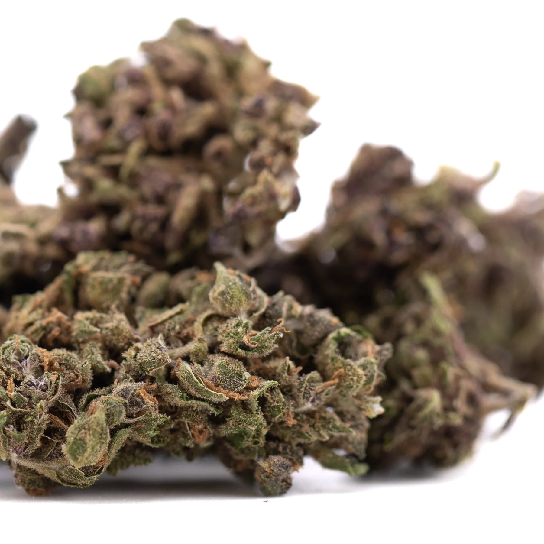 A dense resinous cbg flower bud with green and purplish hues covered in fine trichomes for cbg wholesale use