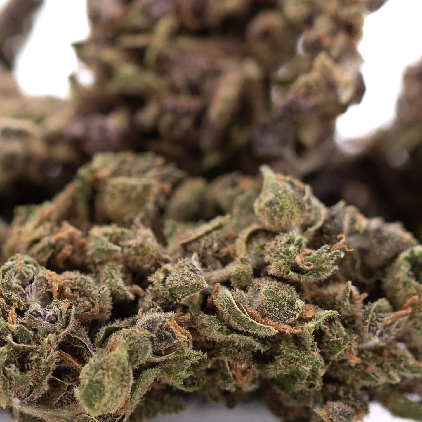 Dense green cbg hemp flower #2 wholesale bud with purple and orange trichomes highlighting cannabinoid potency and entourage effect