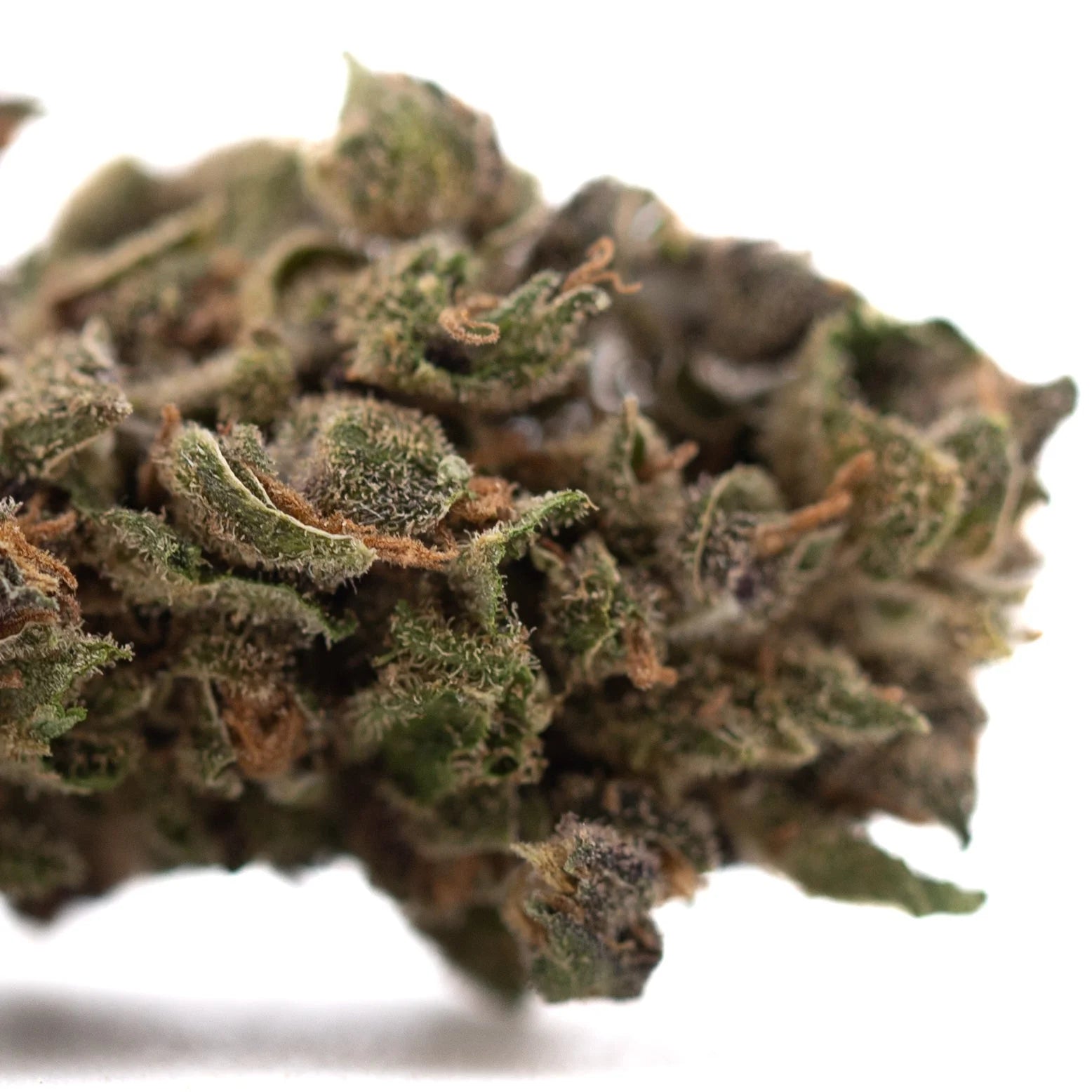 A dense green cbg hemp flower bud with fine trichomes and brownish orange pistils highlighting cannabinoid potency
