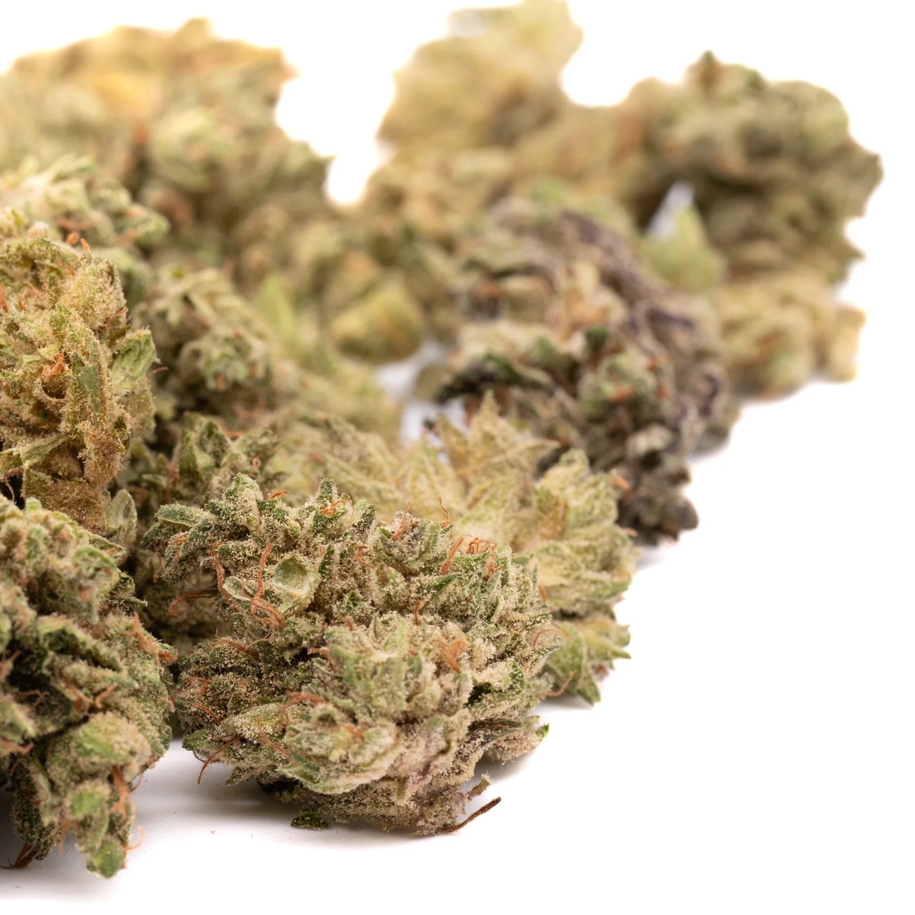 CBG Hemp Flower - Plants
