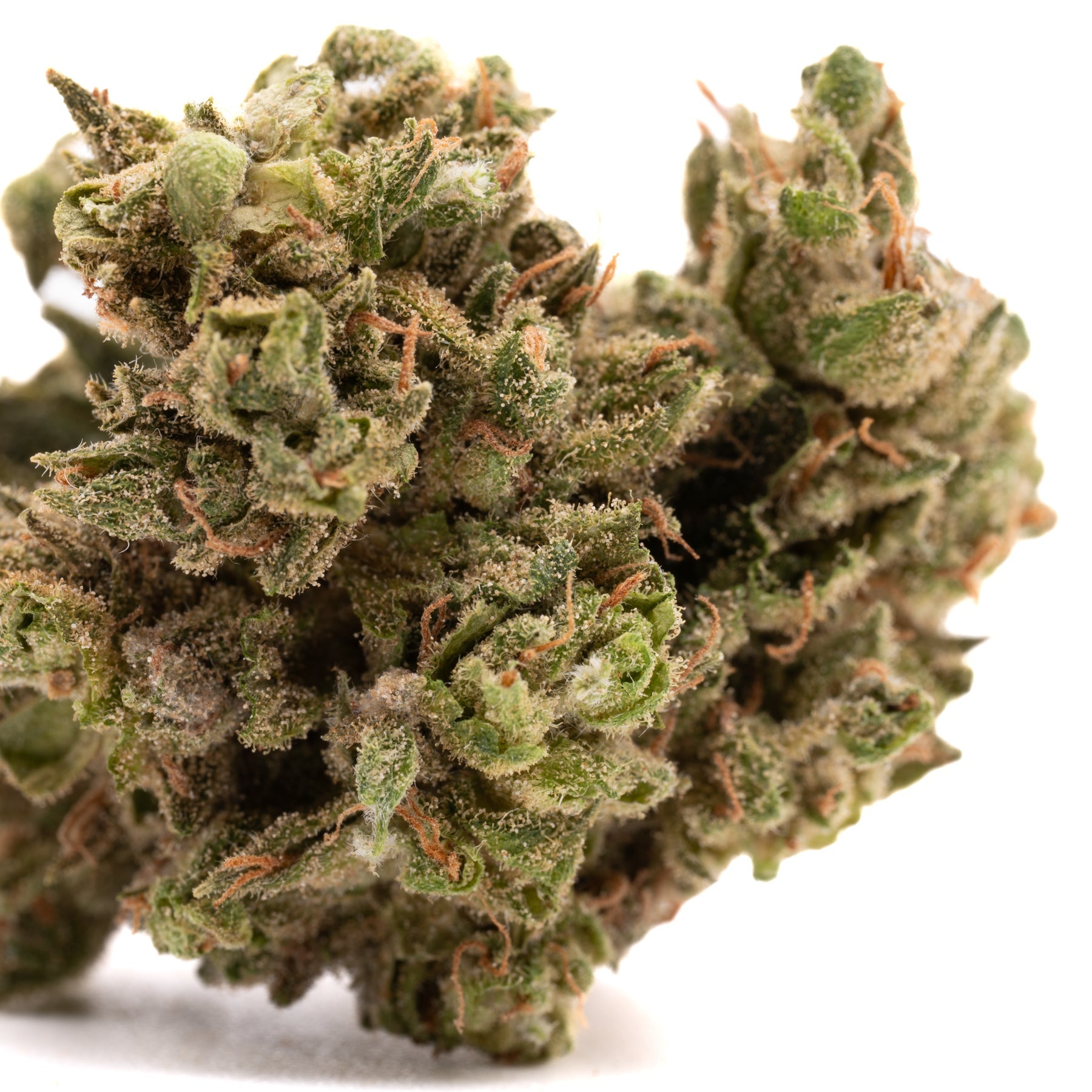 CBG Hemp Flower Smalls - Plants