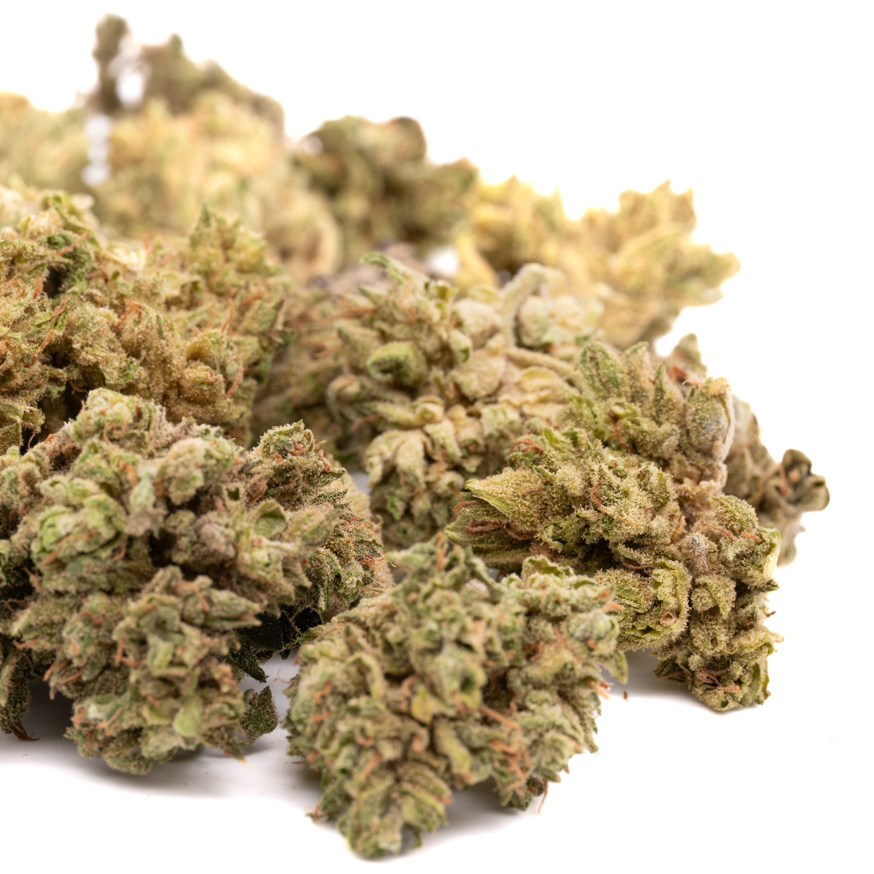 CBG Hemp Flower Smalls - Plants