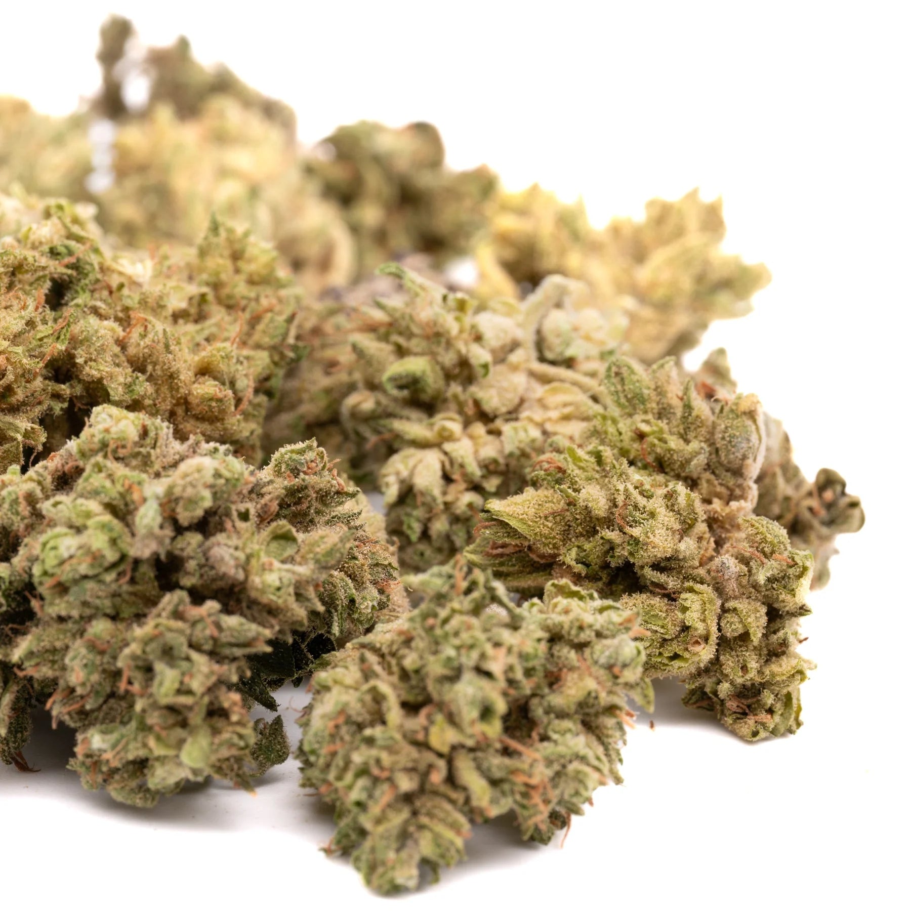 CBG Hemp Flower Smalls - Plants