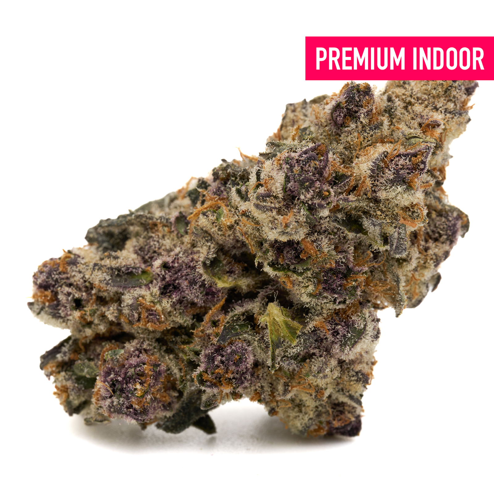 Dense purple and orange Cereal Milk Indoor THCa Flower covered in trichomes