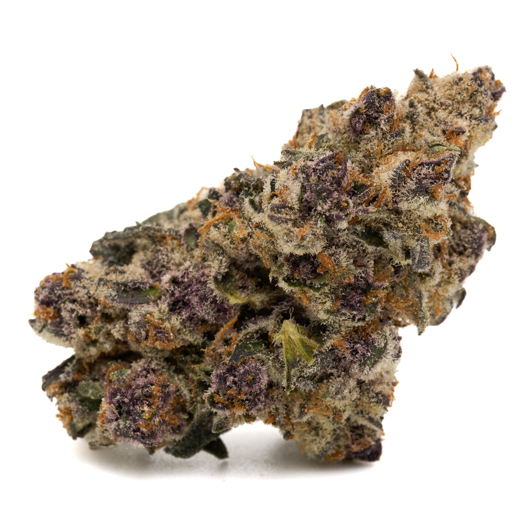 Cereal Milk Indoor THCa Flower with dense trichome-covered cannabis bud, purple hues, orange pistils