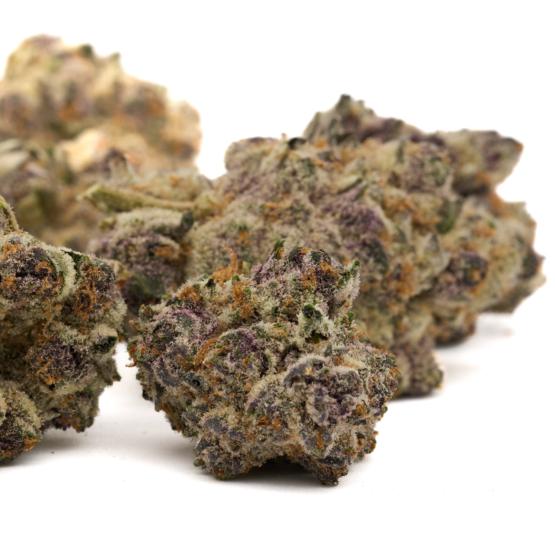 Dried purple-tinged Cereal Milk Indoor THCa Flower buds covered in trichomes