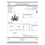 Cheesecake THCa Hemp Flower - Plants