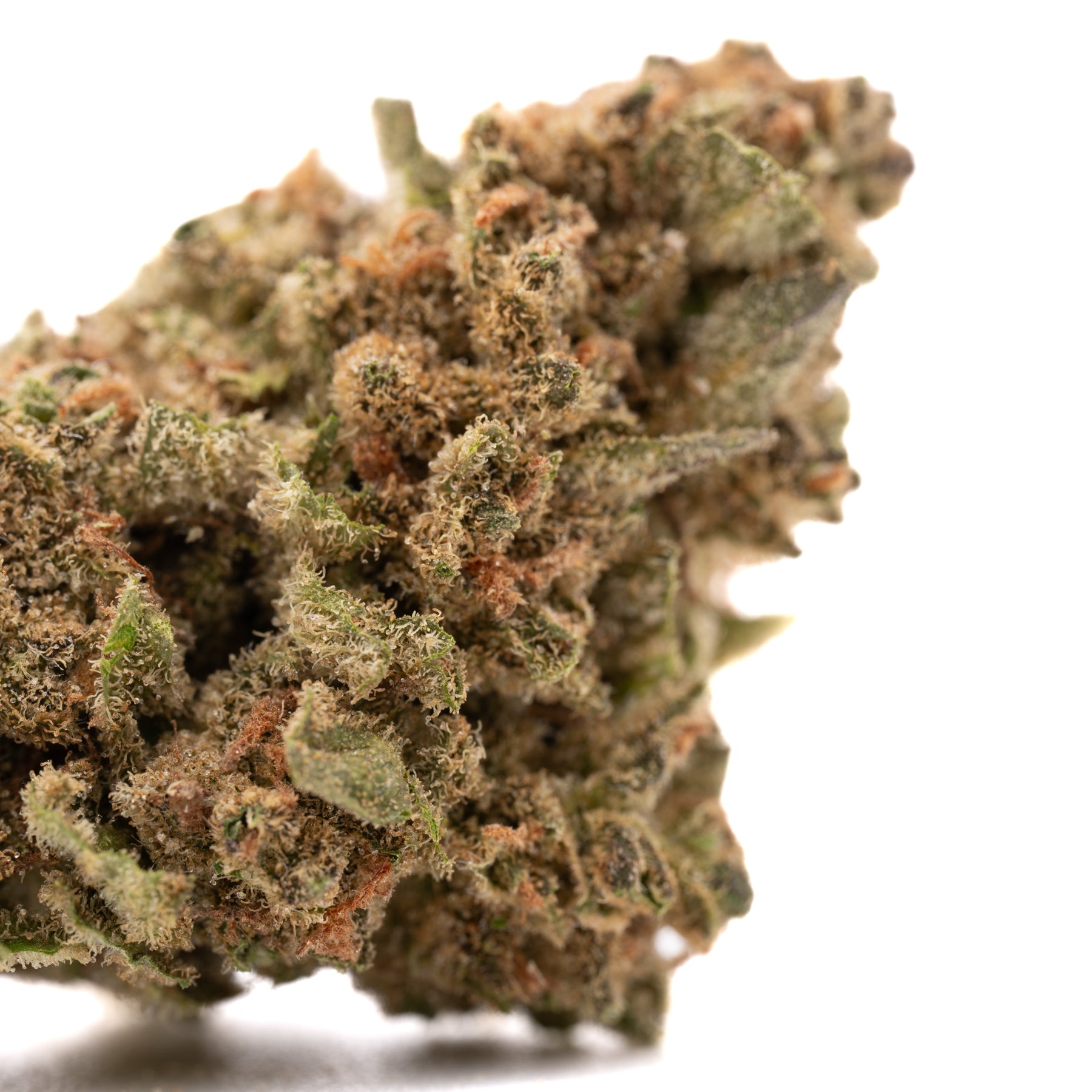 Cheesecake THCa Hemp Flower - Plants