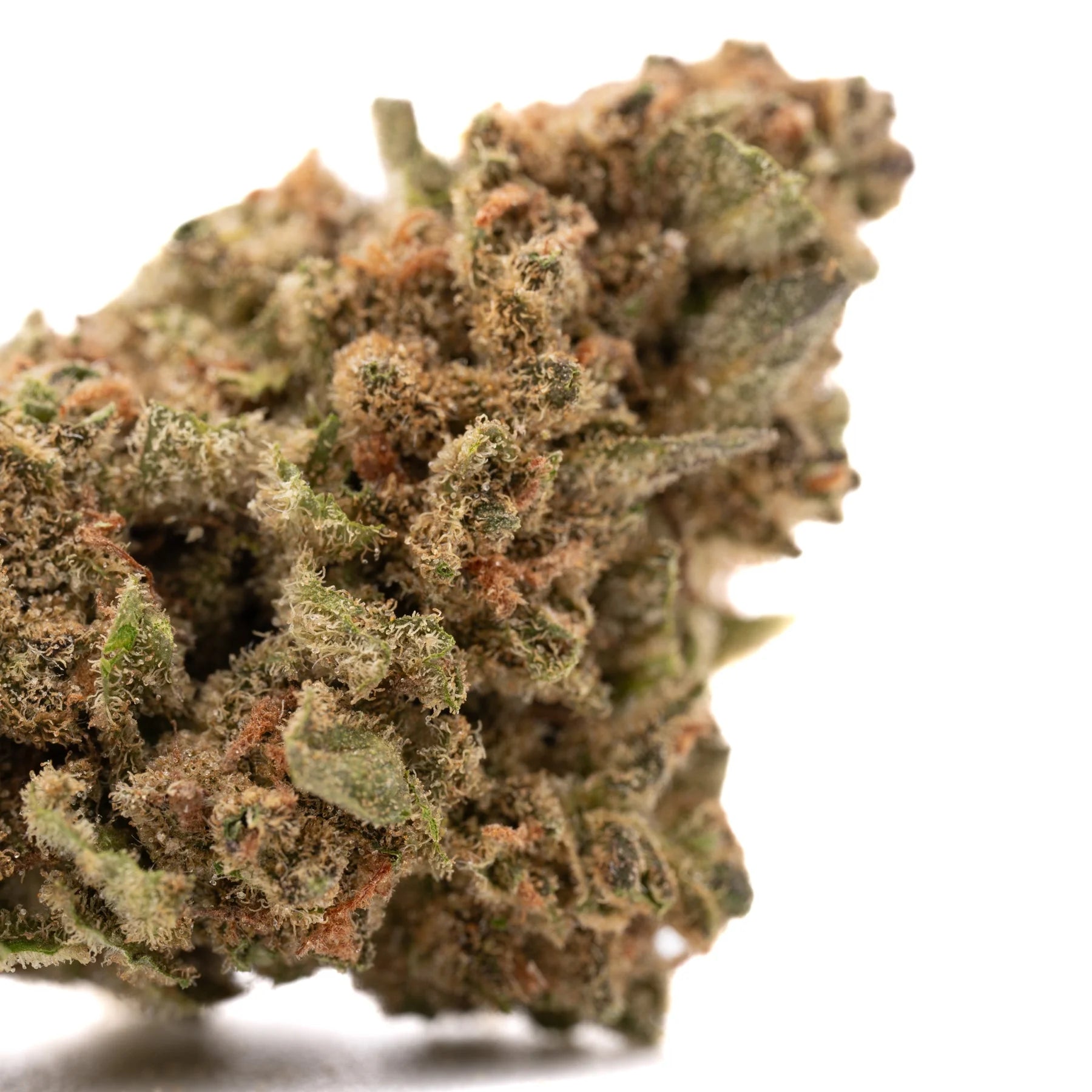 Cheesecake THCa Hemp Flower - Plants