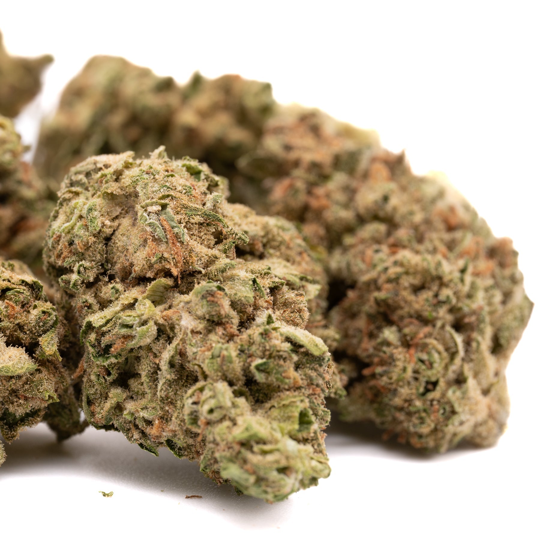 Cheesecake THCa Hemp Flower - Plants