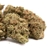 Cheesecake THCa Hemp Flower - Plants