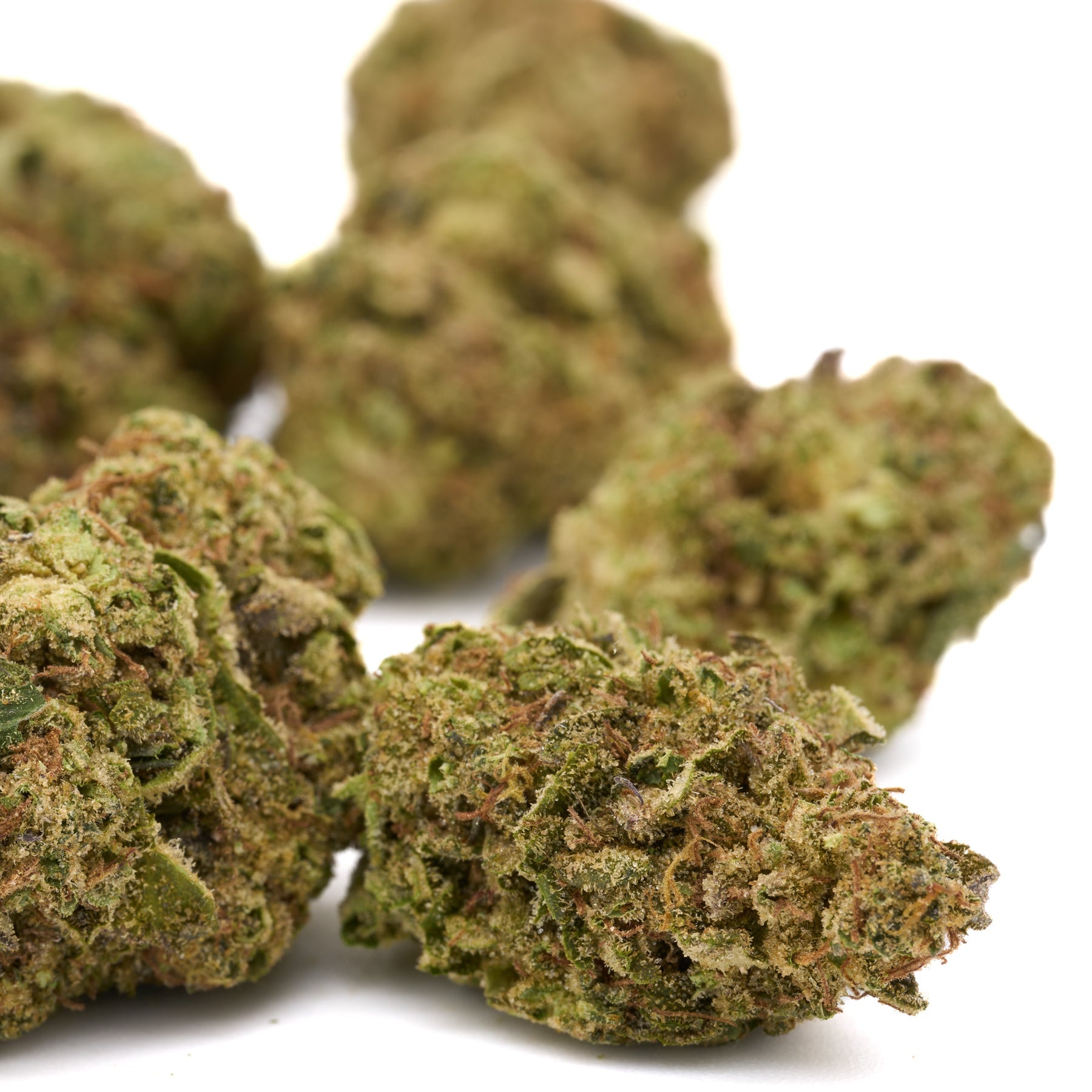 Green and brown cannabis buds of Cherry Cookie THCa Hemp Flower Greenhouse