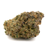 Dense Cherry Limeade Indoor THCa Flower bud with green, orange, purple hues and trichomes