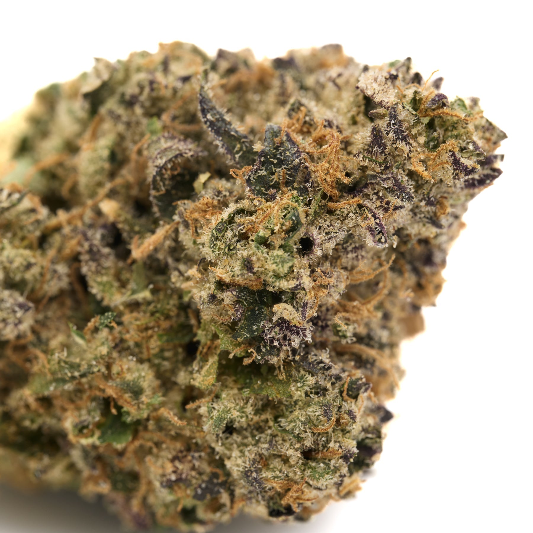 Cherry Limeade Indoor THCa Flower with dense trichome-covered buds and purple-orange hues