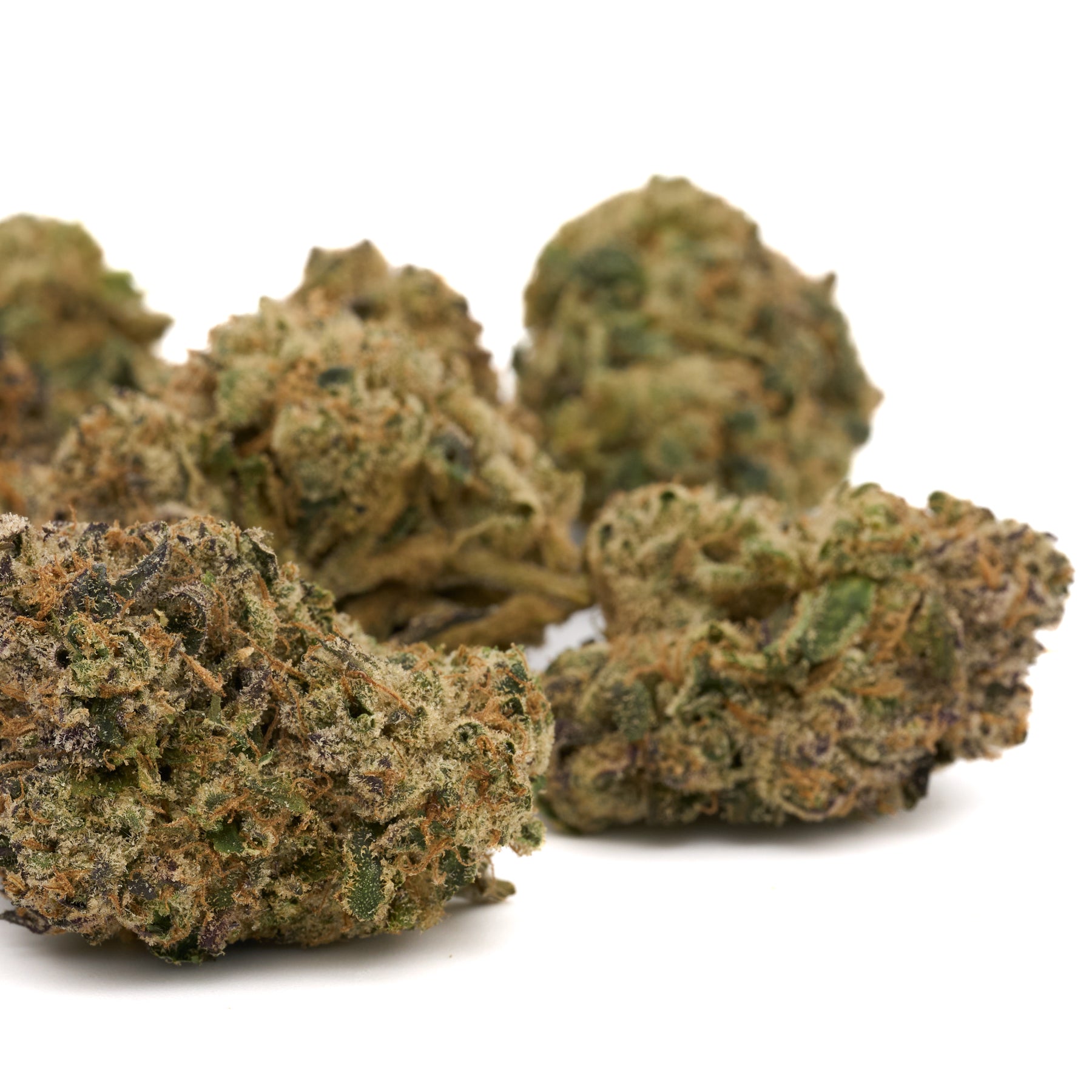 Dried Cherry Limeade Indoor THCa Flower buds with Δ9-THC content for cannabis enthusiasts