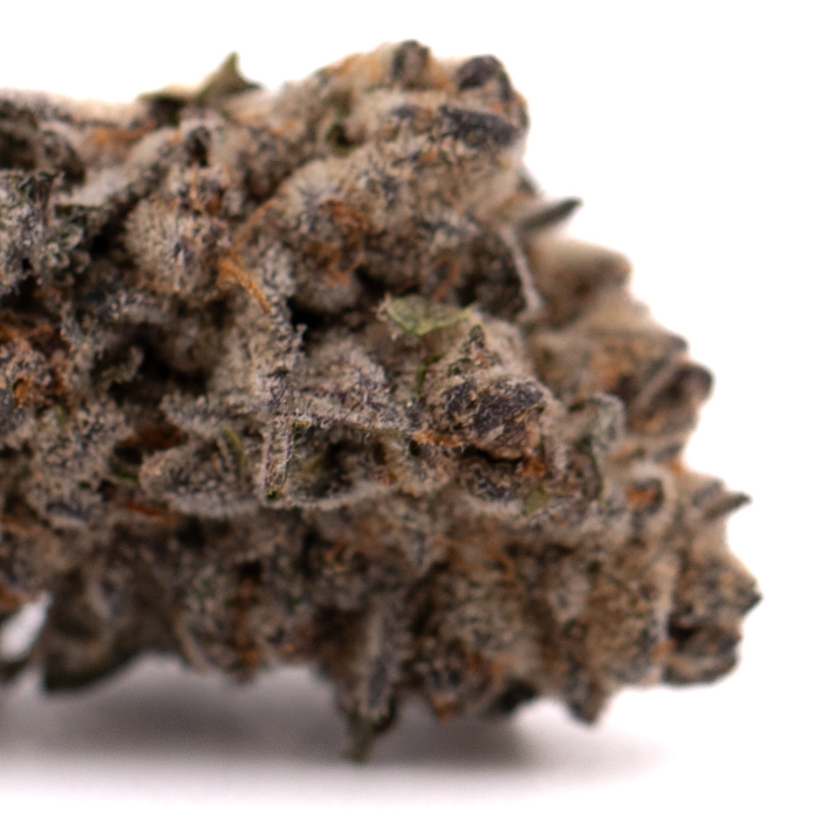 Close-up of Cherry Pie THCa flower with dense trichomes and hints of purple, green, and orange hairs