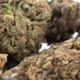 Mature cherry truffle thca flower hemp buds with dense resinous trichomes in green brown earthy tones wholesale
