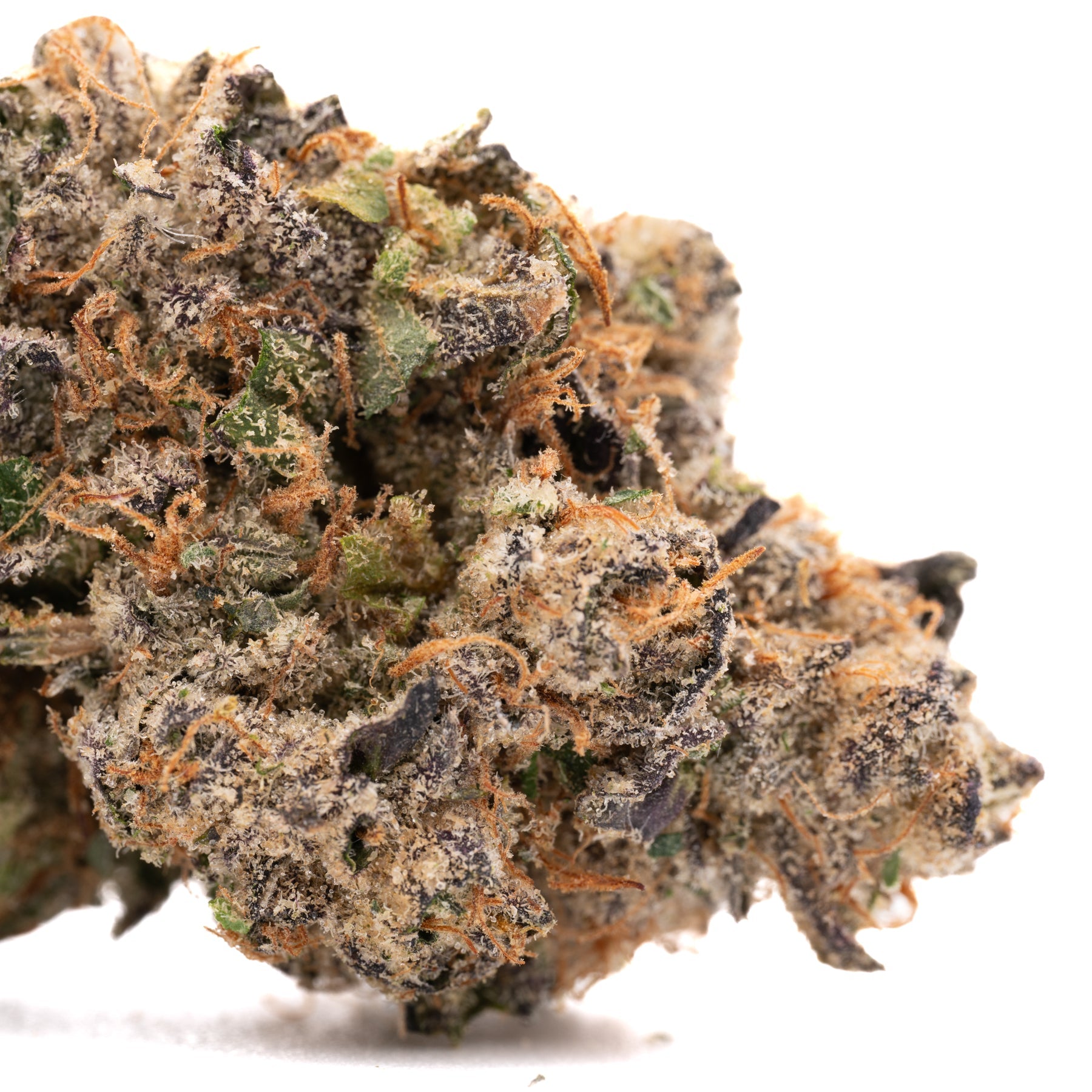 Cherry Vanilla Cookie Indoor THCa Flower Wholesale - 1/2 LB