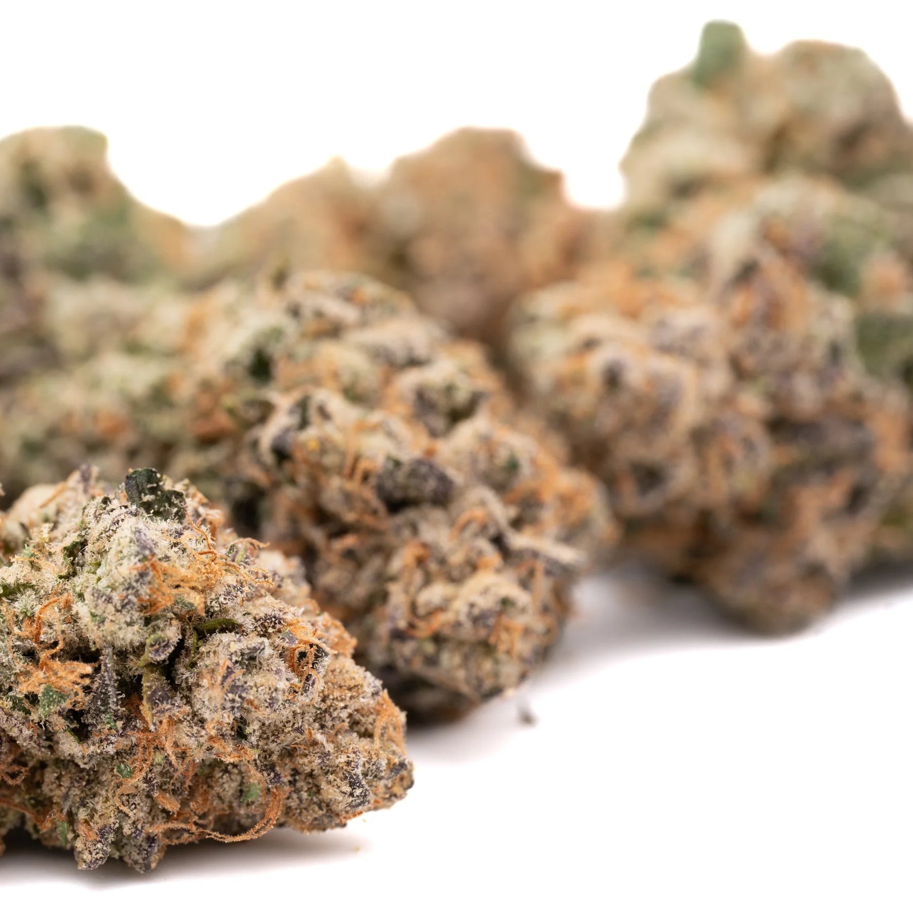 Cherry Vanilla Cookie Indoor THCa Flower Wholesale - 1/2 LB