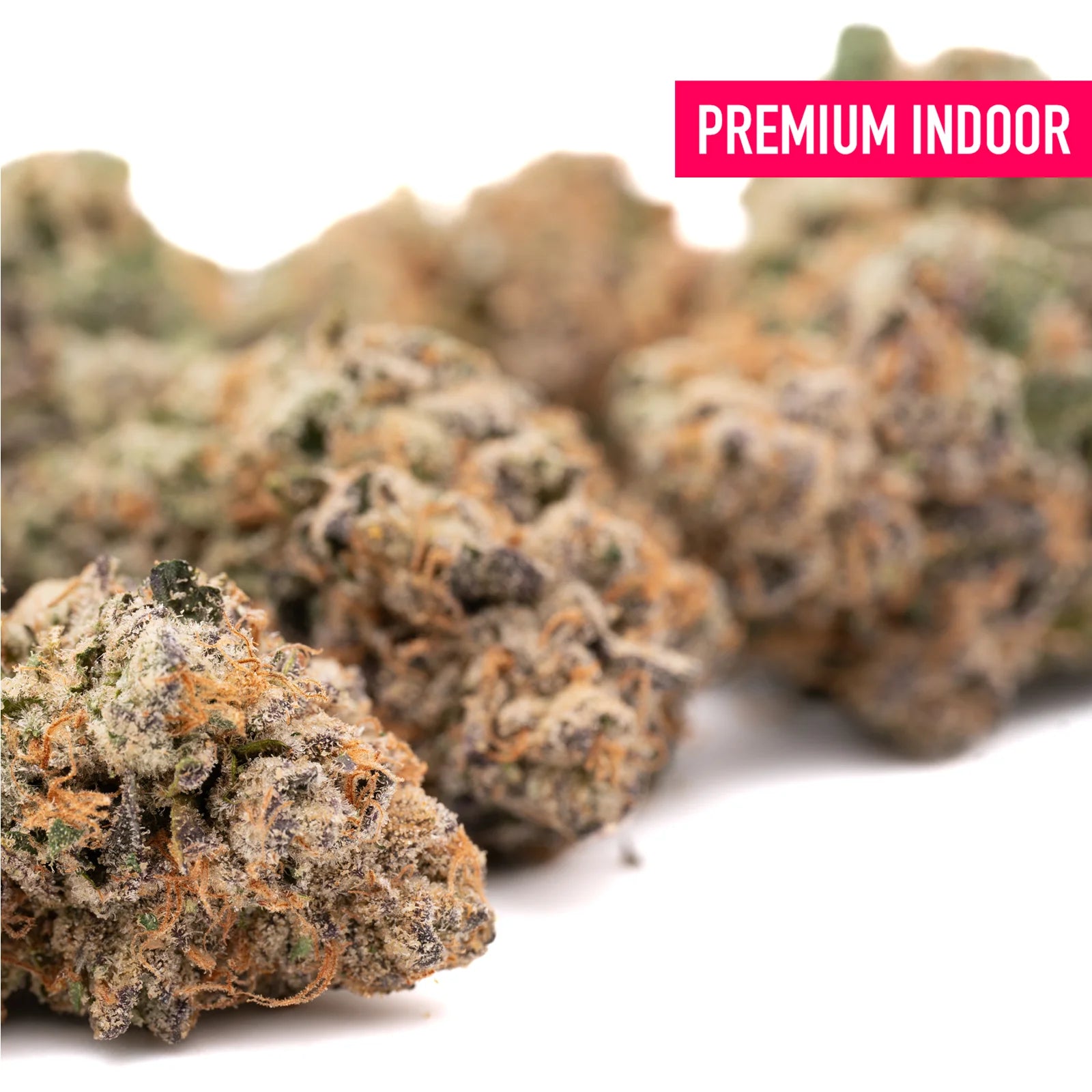 Cherry Vanilla Cookie Indoor THCa Flower Wholesale - 1/2 LB