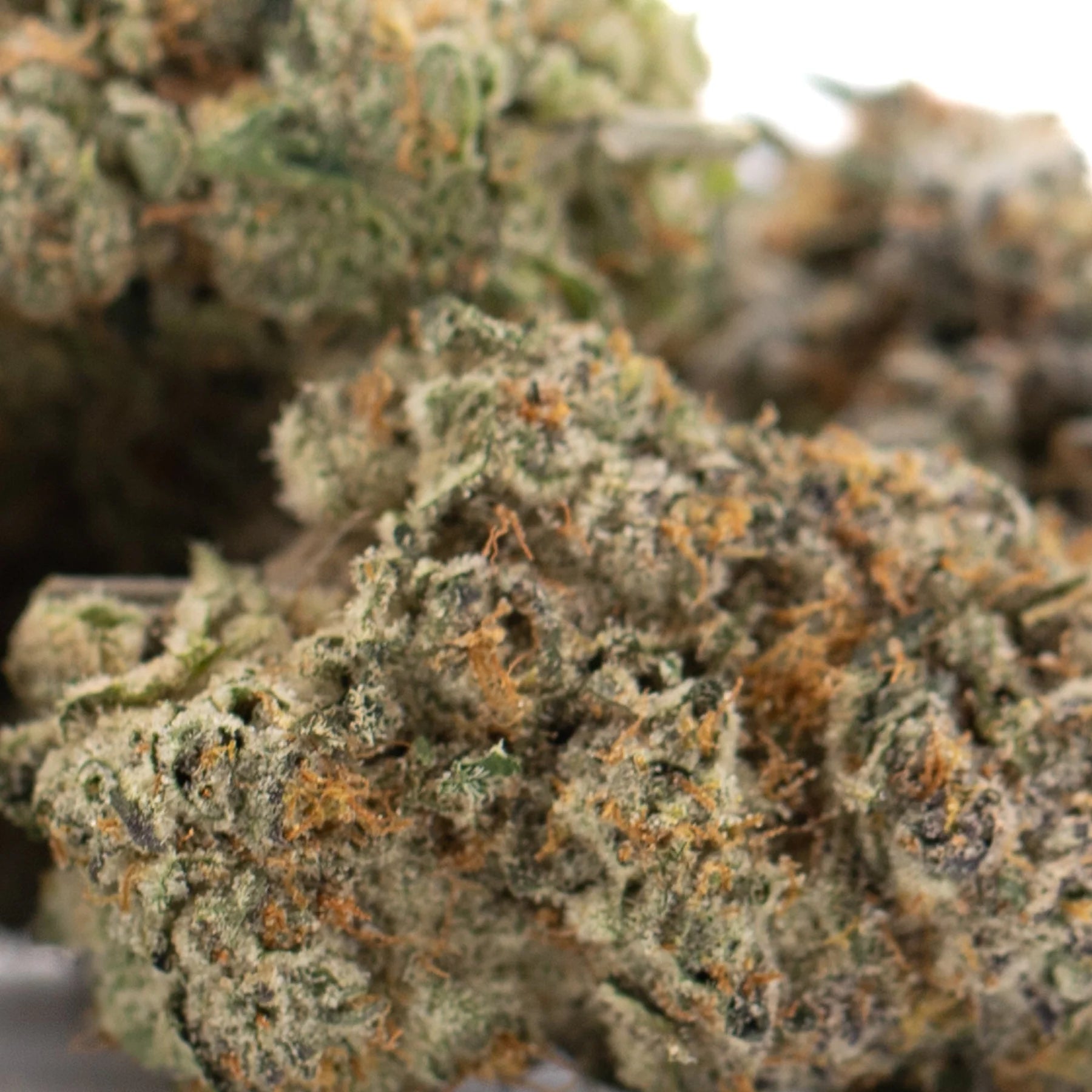A dense green and orange-hued chicken and waffles indoor thca flower bud covered in trichomes for hemp flower wholesale