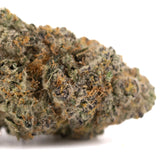 A dense textured green and orange cannabis bud covered in trichomes from chicken and waffles indoor thca flower