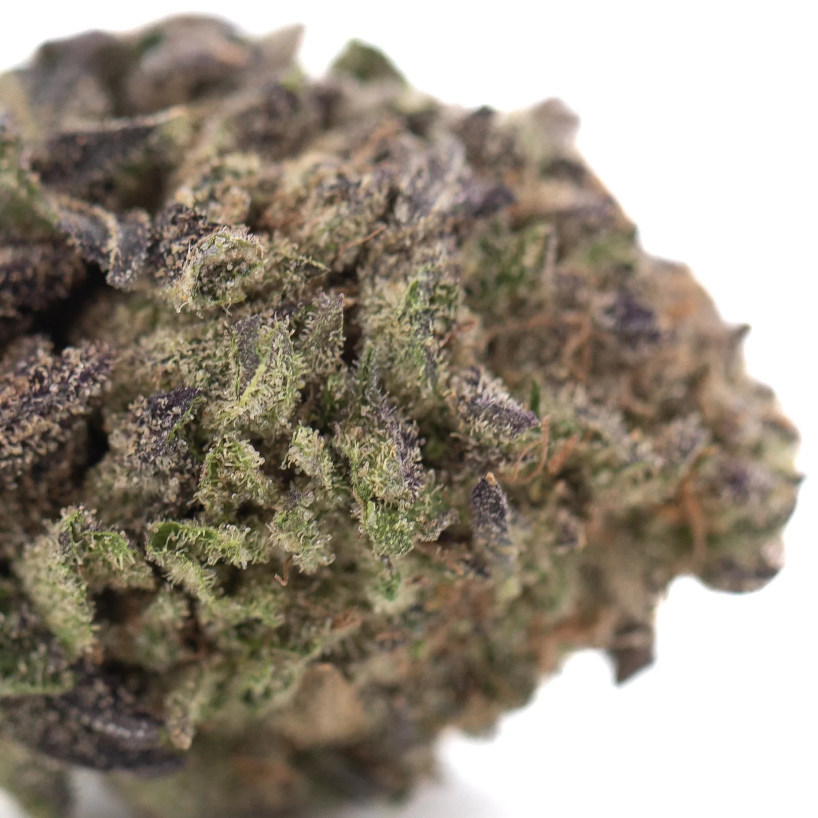 A dense resinous greenhouse hemp flower bud with green and purplish hues covered in trichomes for waffles thca use