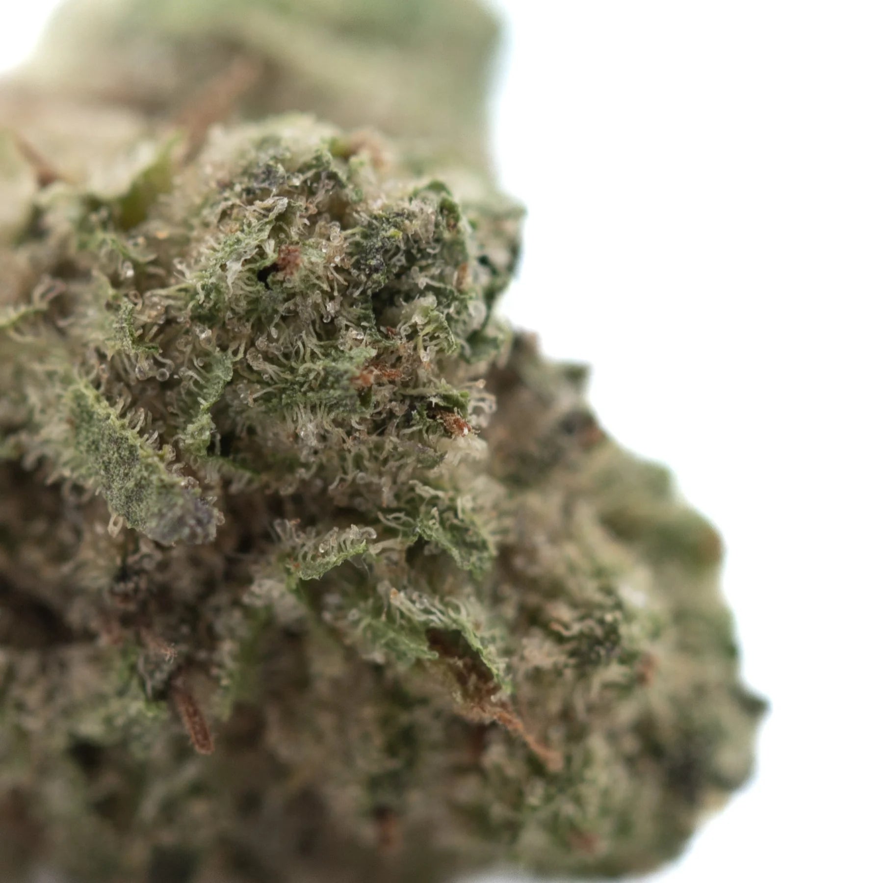 A dense green chicken and waffles thca hemp flower greenhouse smalls bud with fine trichomes and hints of brown