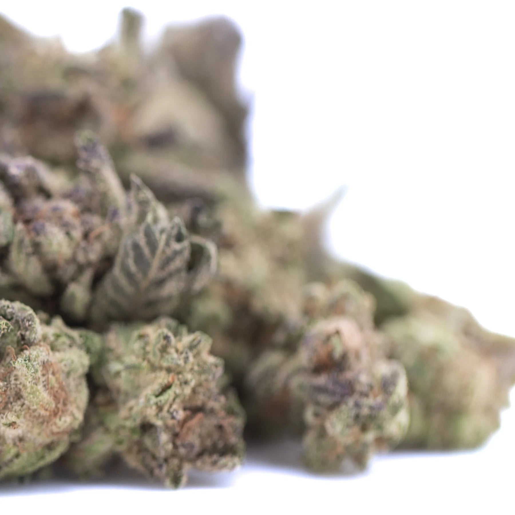 A dense green and purple chicken and waffles thca greenhouse smalls cannabis bud covered in trichomes with textured surface
