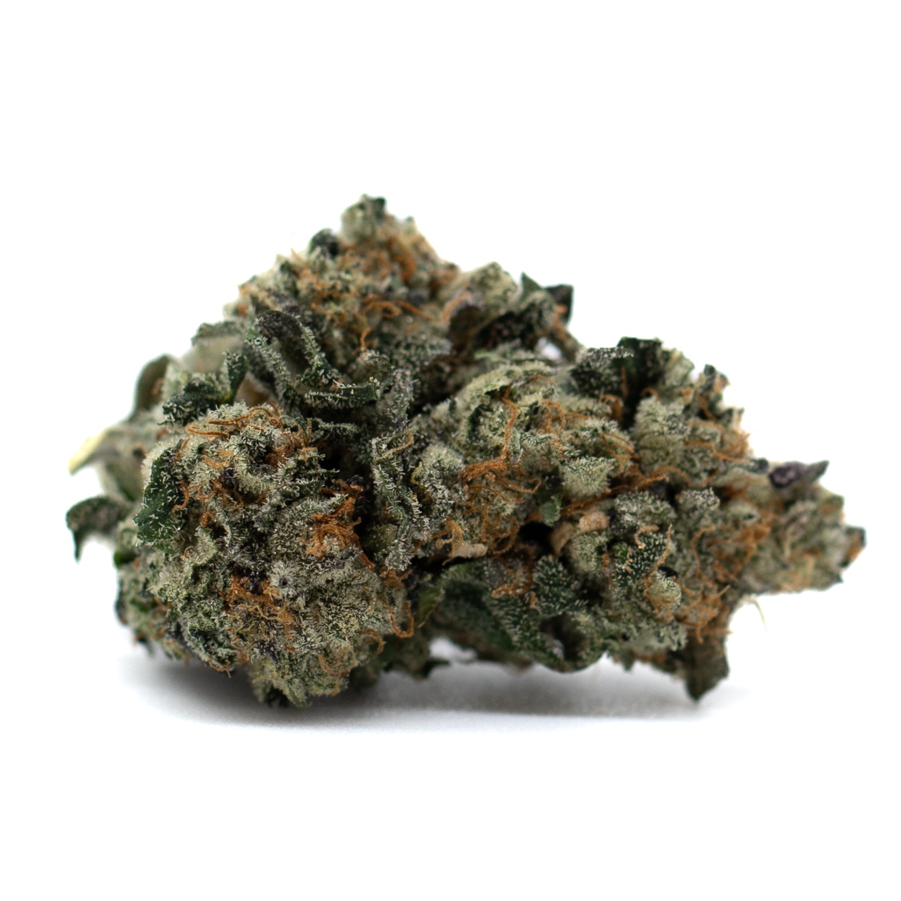 Dense trichome-covered Banana Kush cannabis bud with dark green leaves and orange hairs for Chunky Monkey Indoor THCa Flower