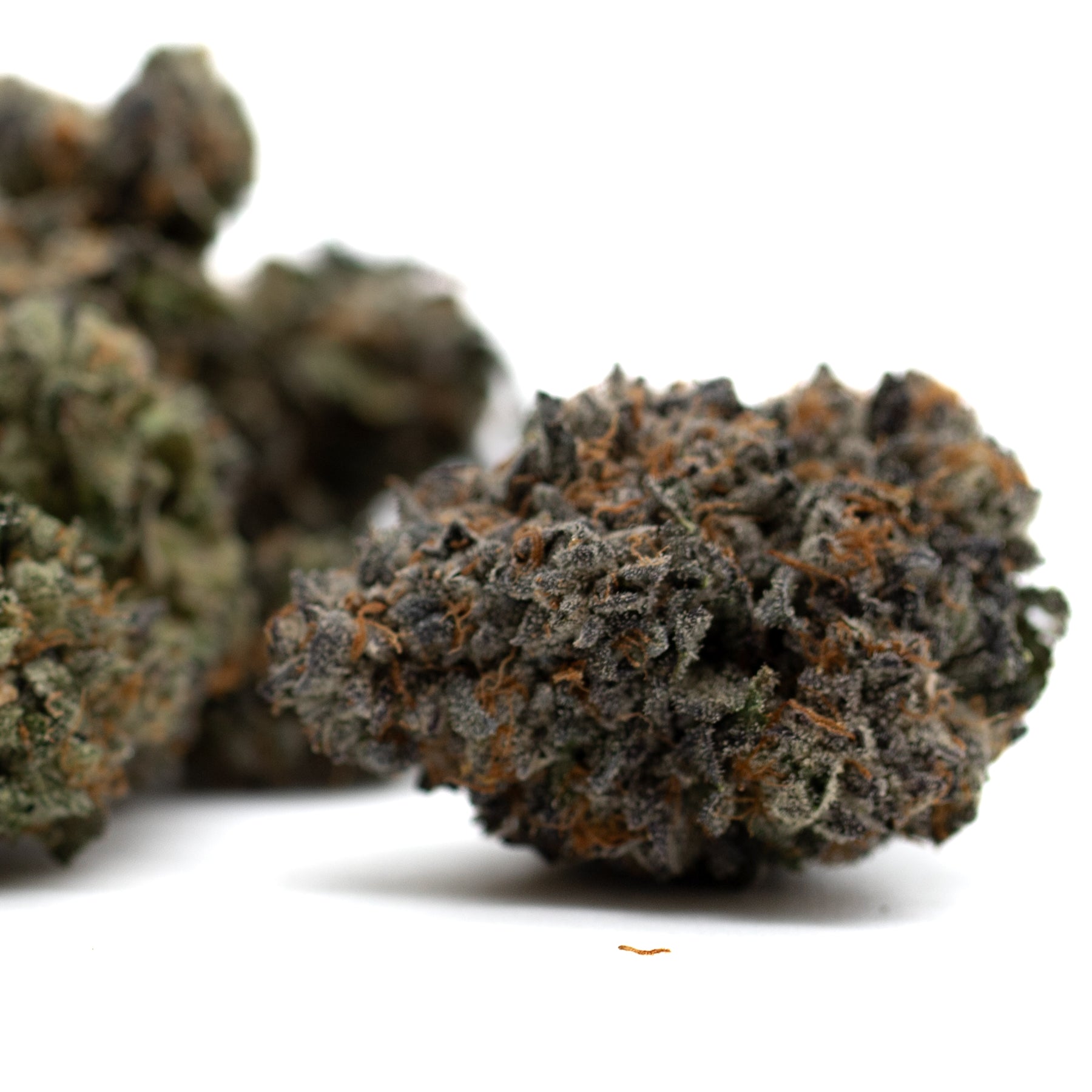 Dense indoor THCa cannabis bud with orange hairs labeled PREMIUM INDOOR for Chunky Monkey Indoor THCa Flower