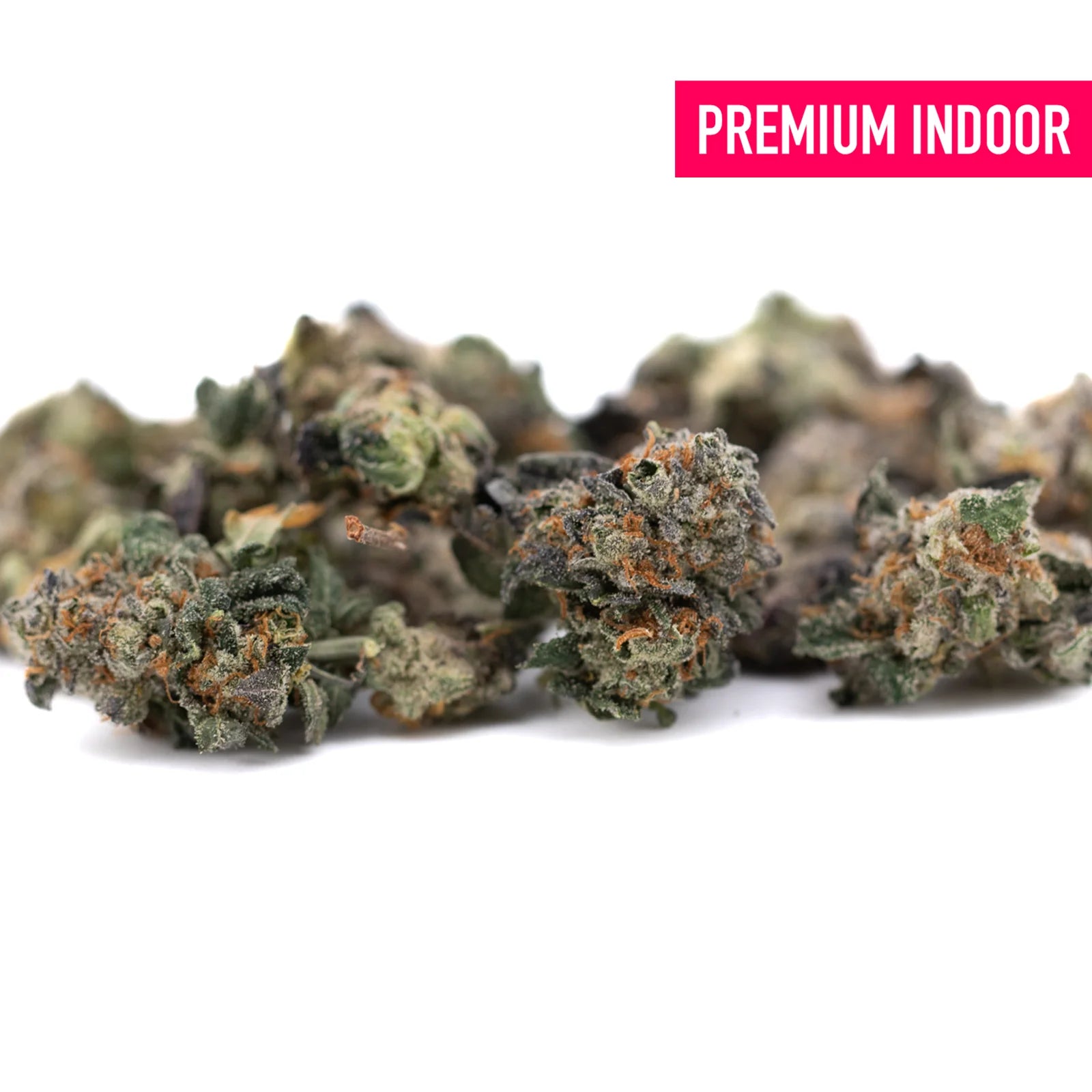 Dense trichome-rich Chunky Monkey Indoor THCa Flower Smalls with orange pistils